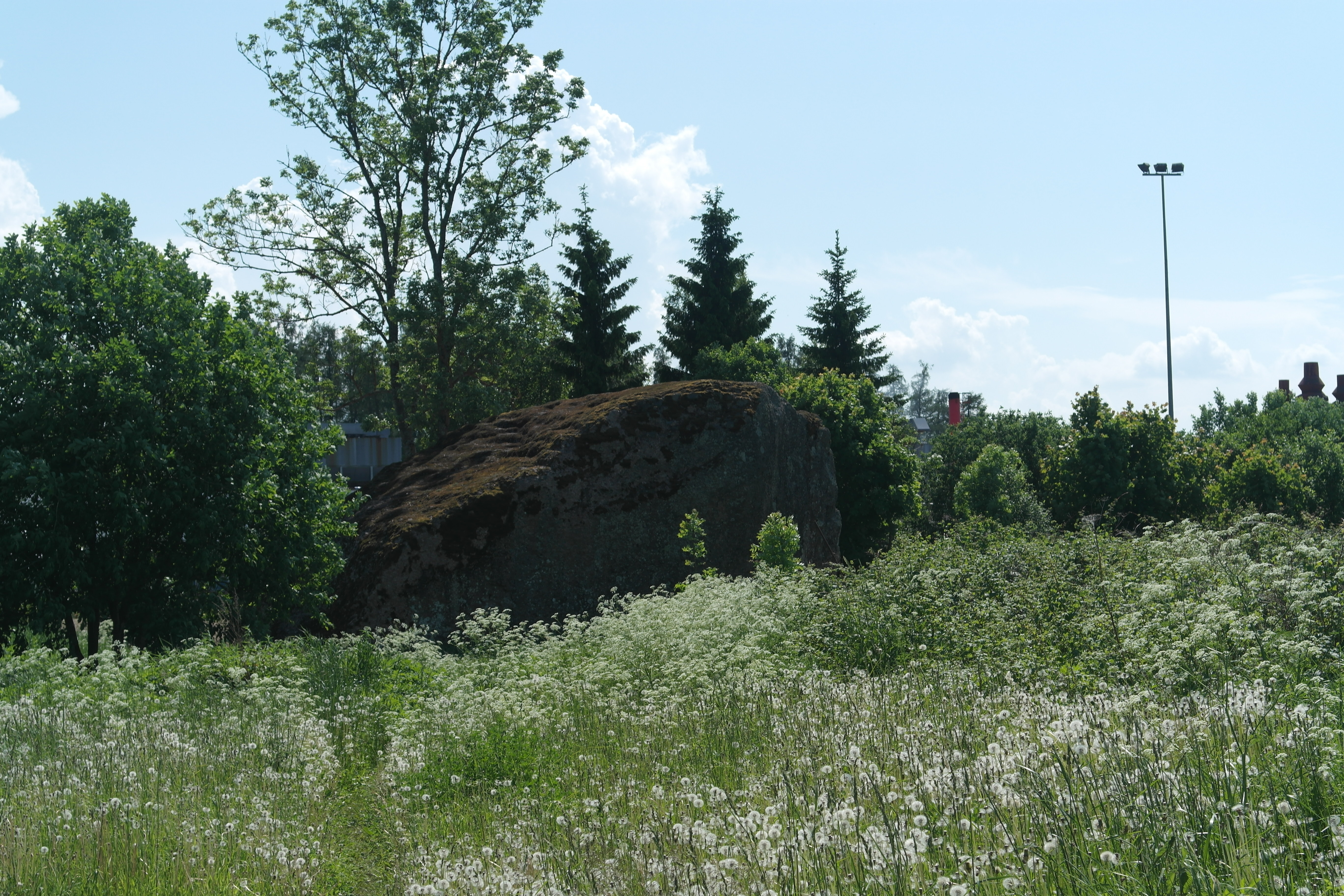 Fail:Aruküla boulder.JPG - Vikipeedia, vaba entsüklopeedia
