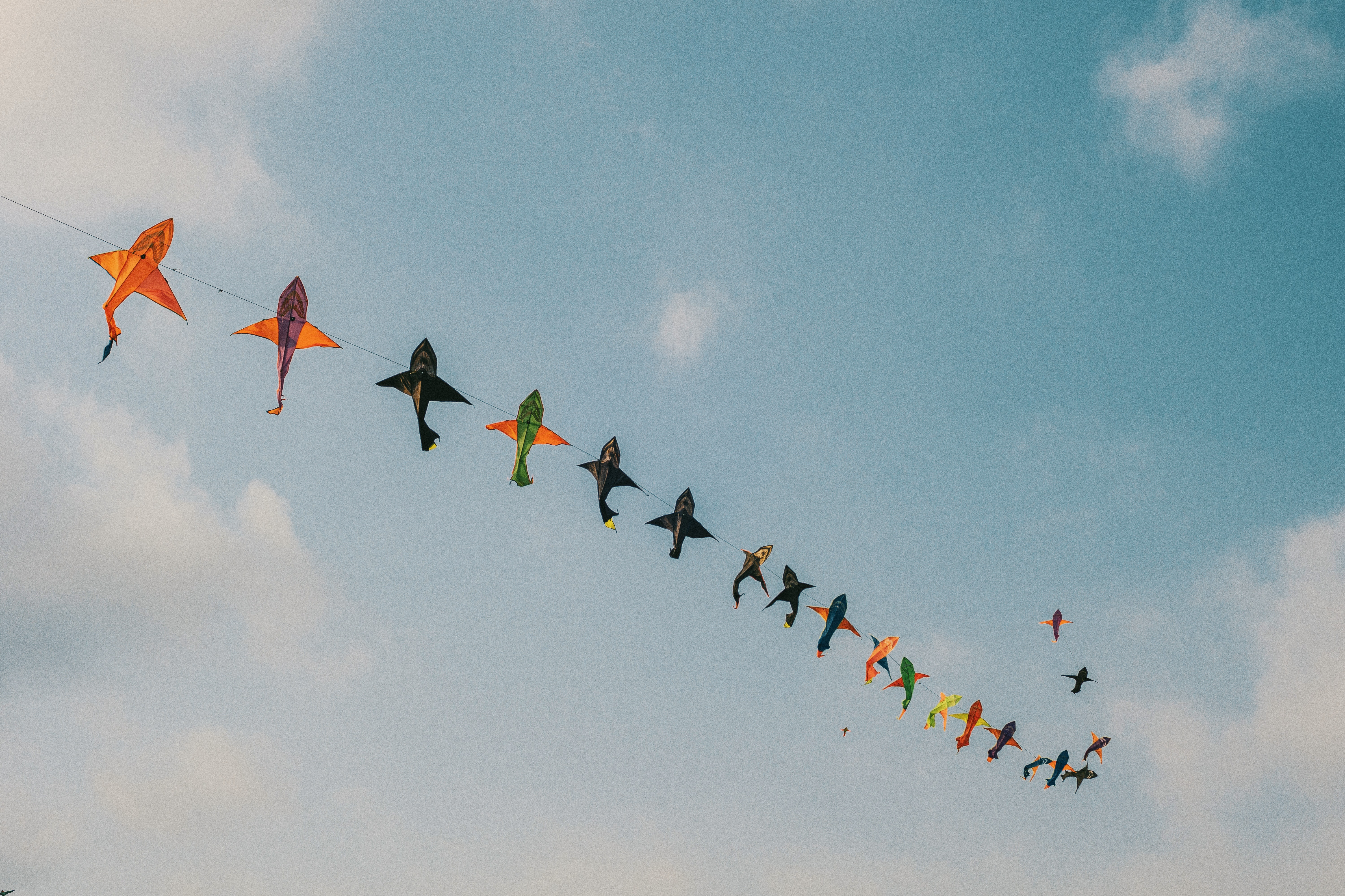 Assorted-color Kites, Air, Clouds, Colorful, Daytime, HQ Photo