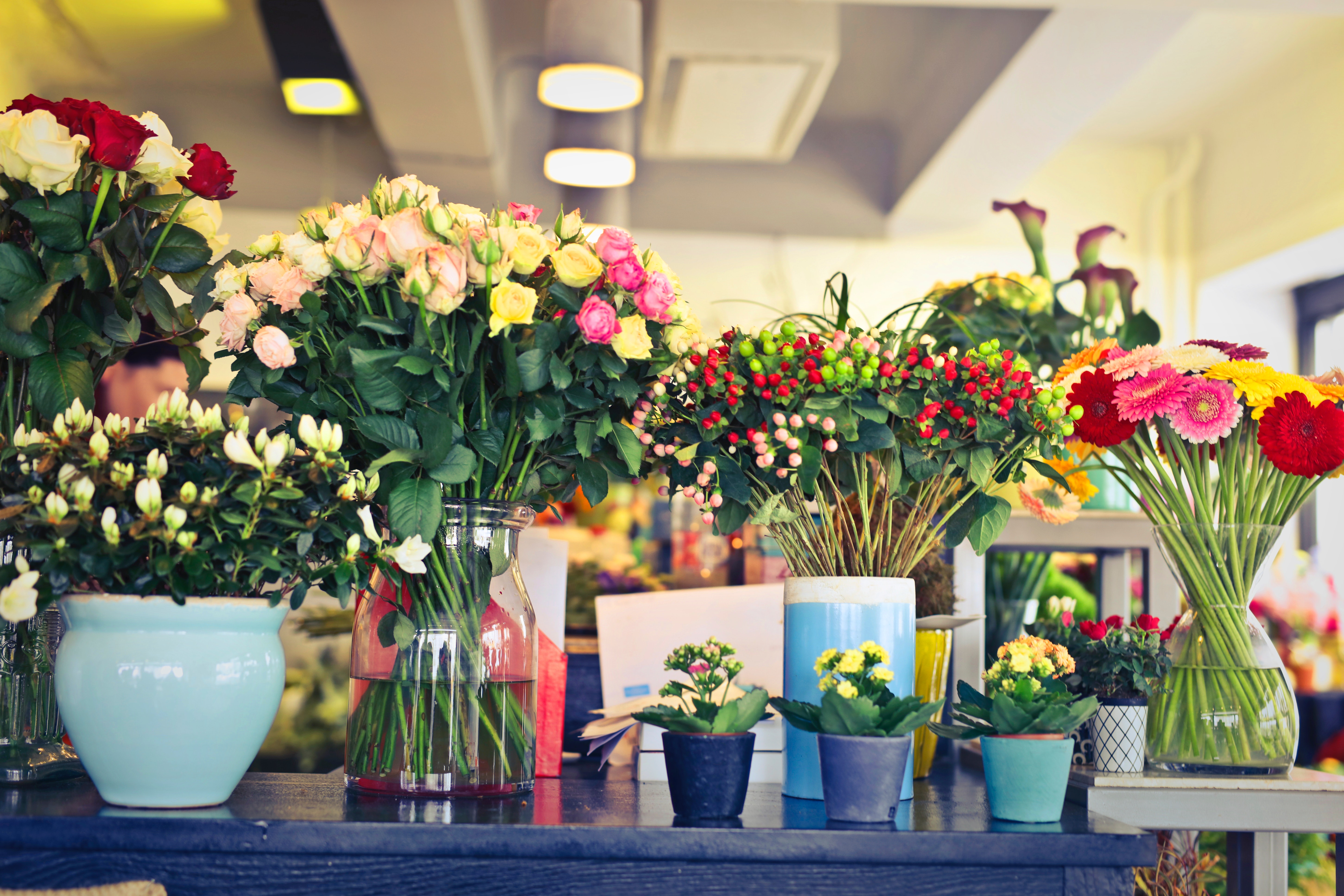 Цветочный магазин растения в горшках
