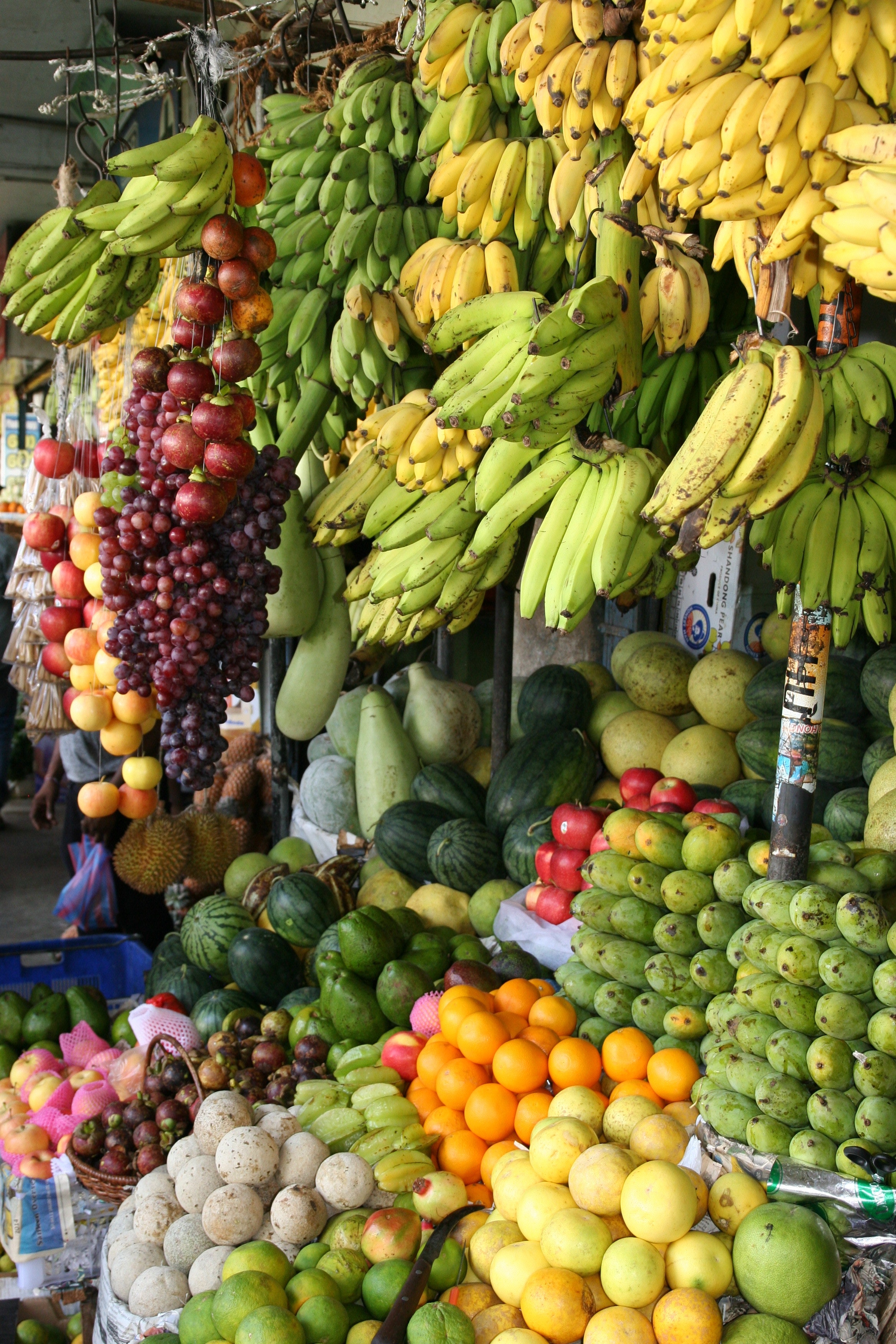 Assorted fruits stall photo