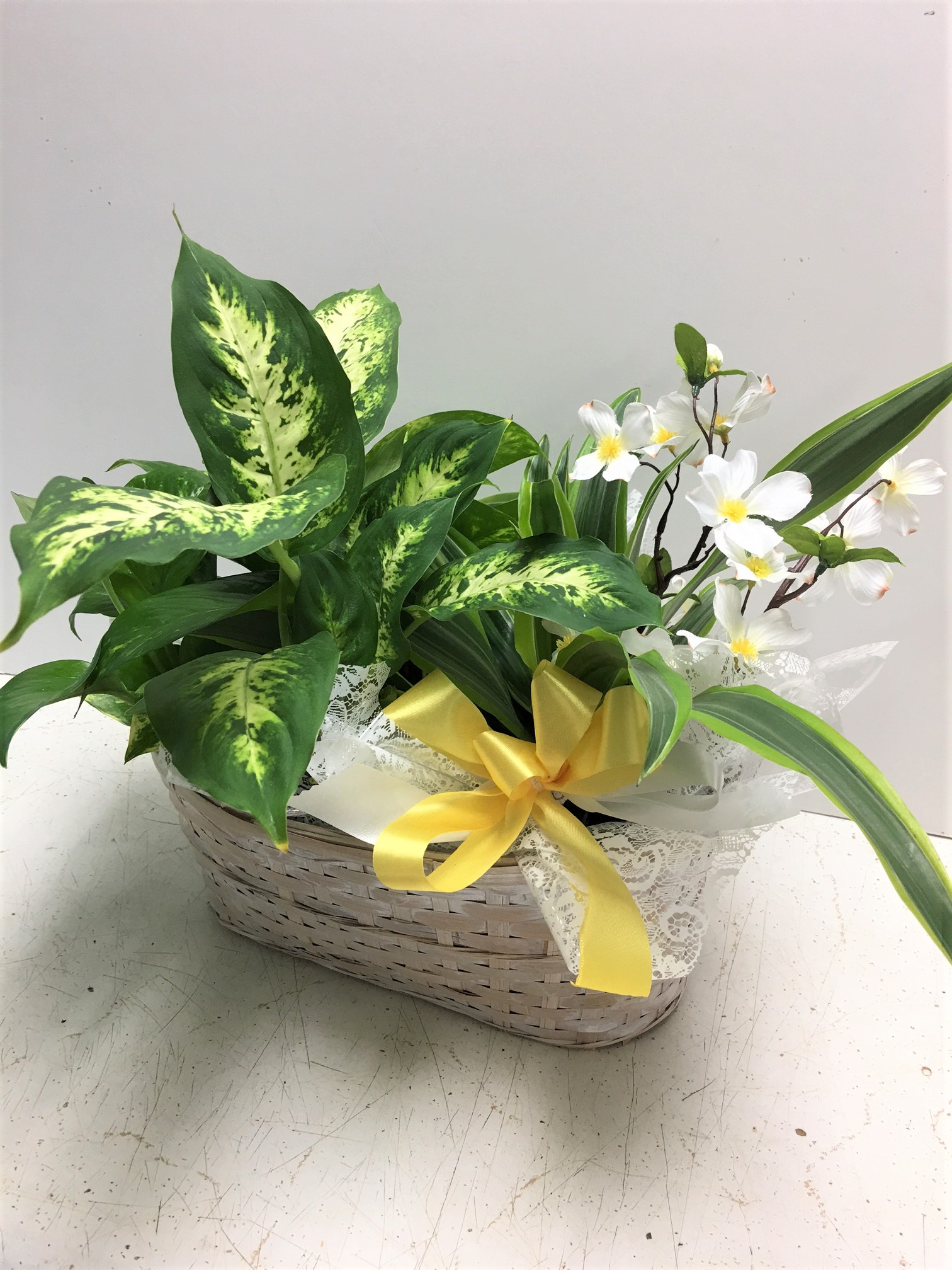 Assorted Green Plants | $75-$99.99, Birthday: Plants, Father's Day ...