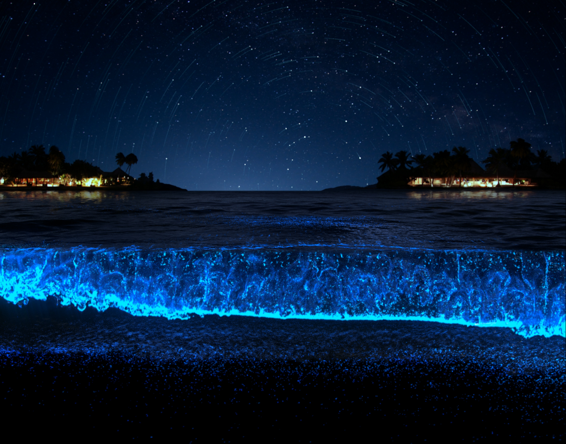 Free Photo Sea At Night Liquid Night Ocean Free Download Jooinn