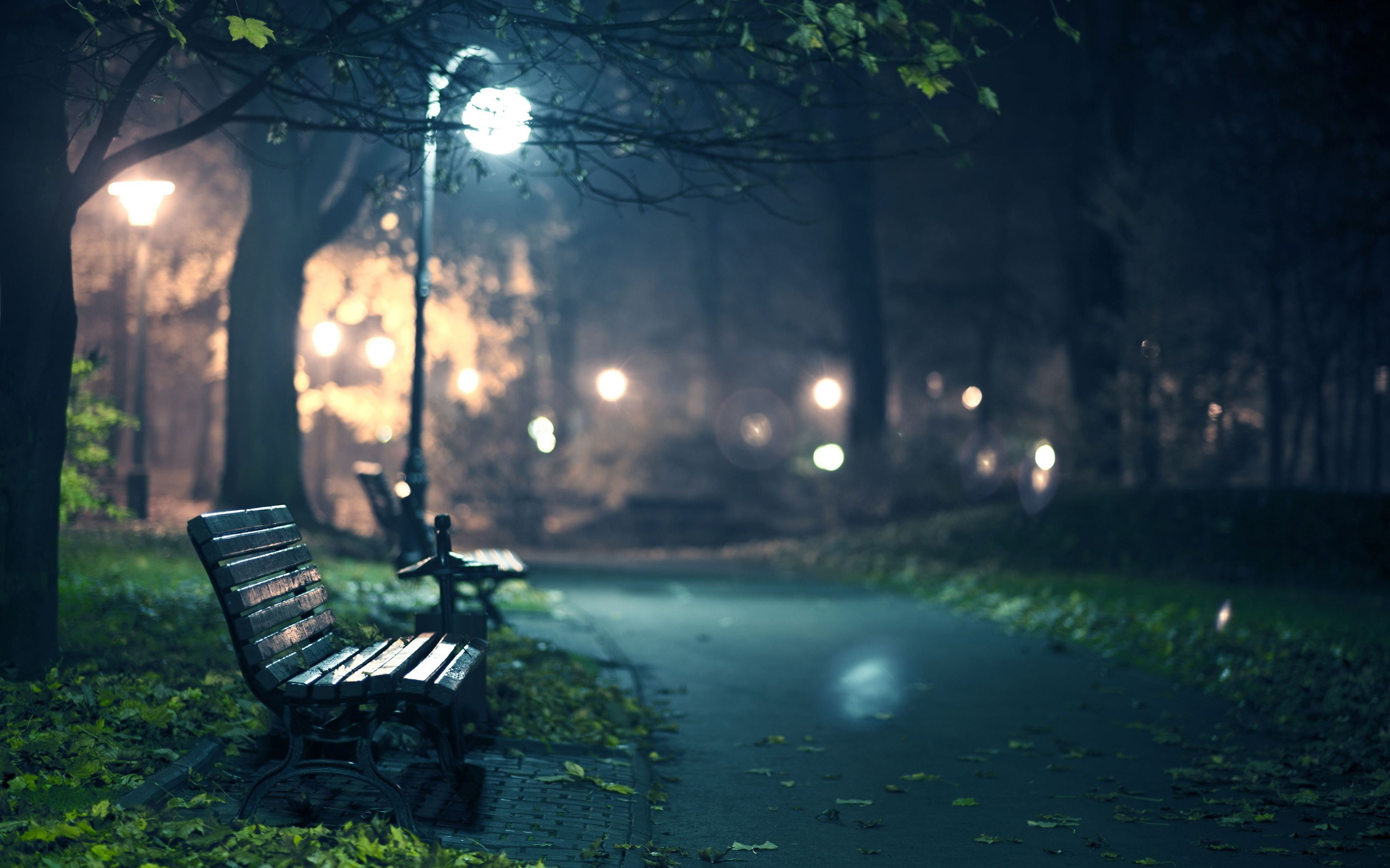 Park Bench At Night #6929611
