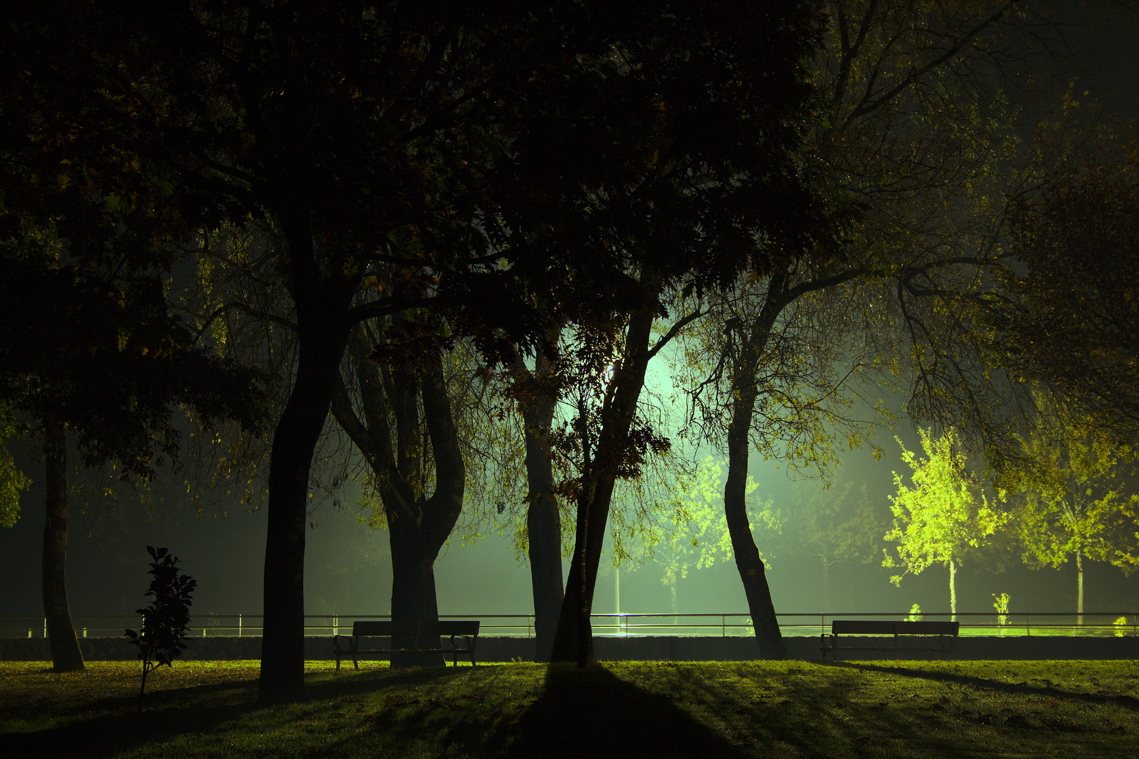 File:In the Park at night, Salvaterra de Miño.jpg - Wikimedia Commons