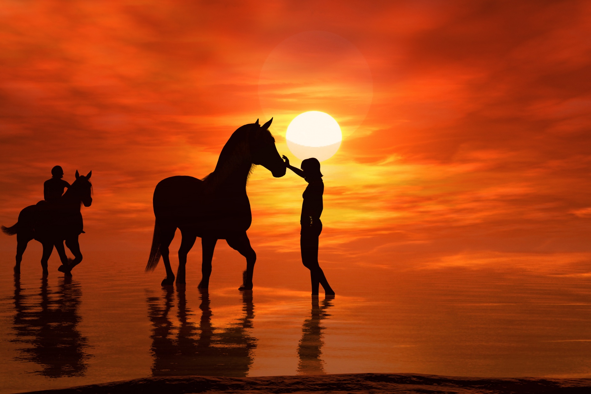 Horse Silhouette At Sunset Free Stock Photo - Public Domain Pictures
