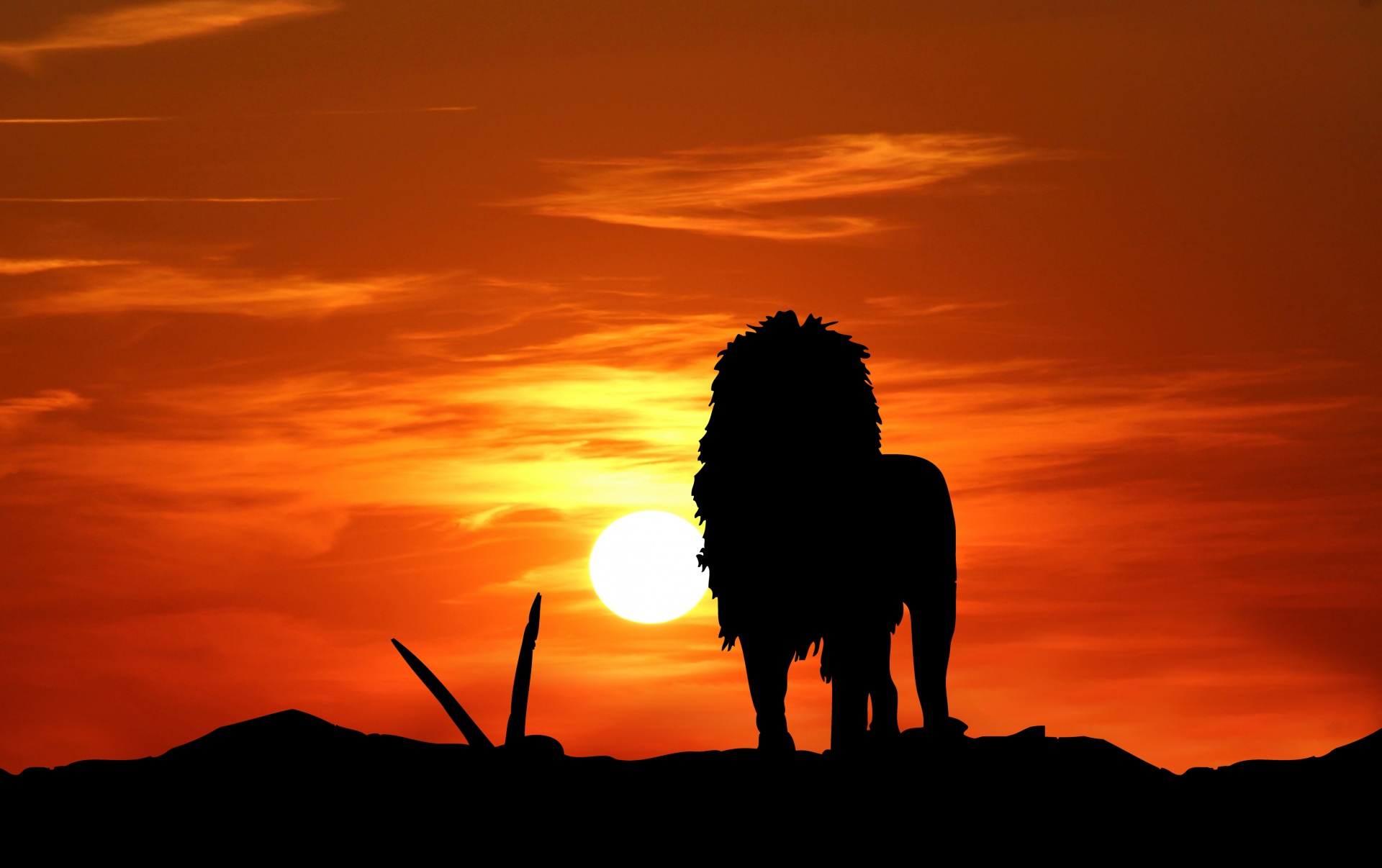 Lion Silhouette At Sunset Free Stock Photo - Public Domain Pictures