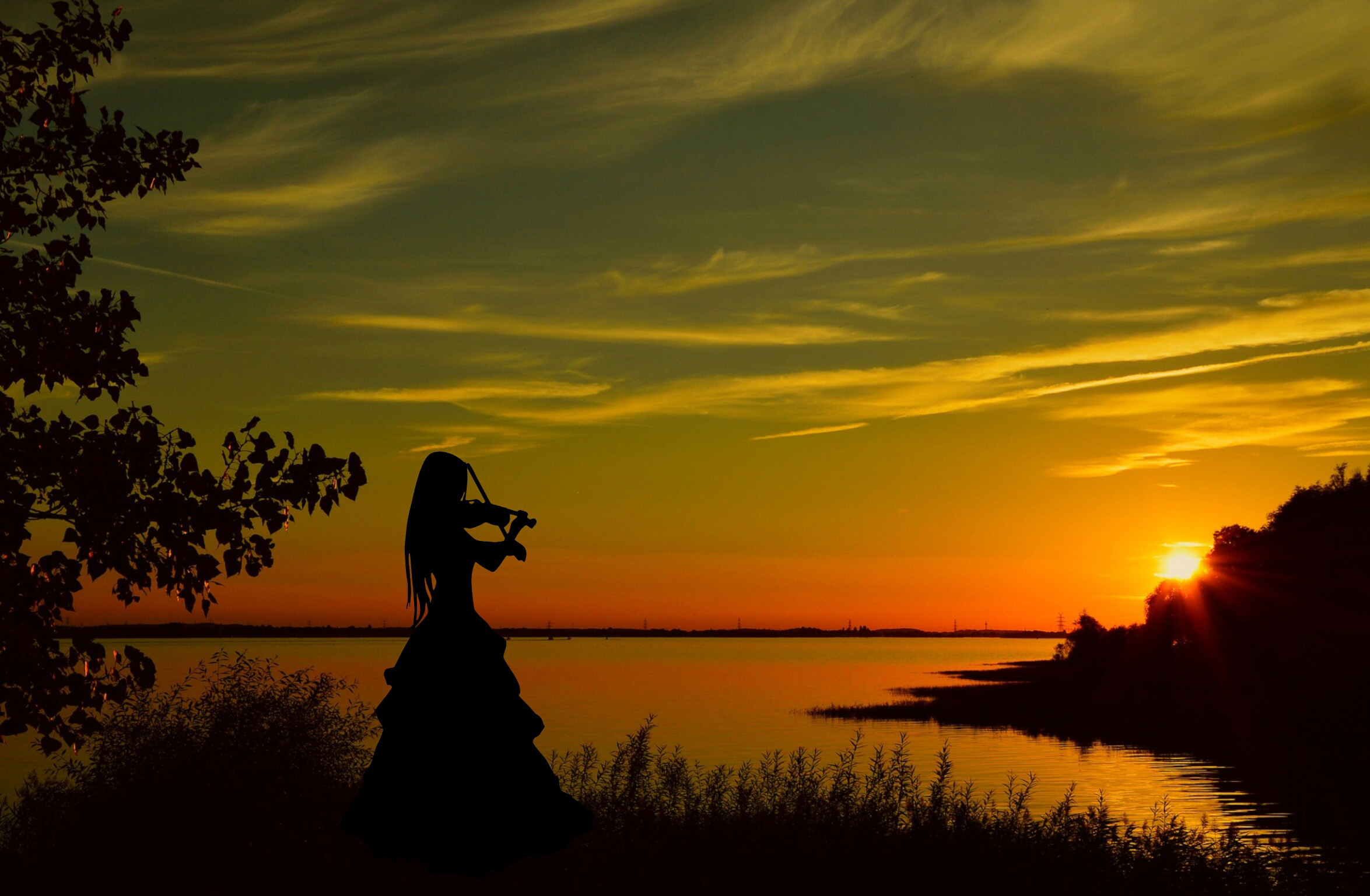 Violinist playing at sunset image - Free stock photo - Public Domain ...