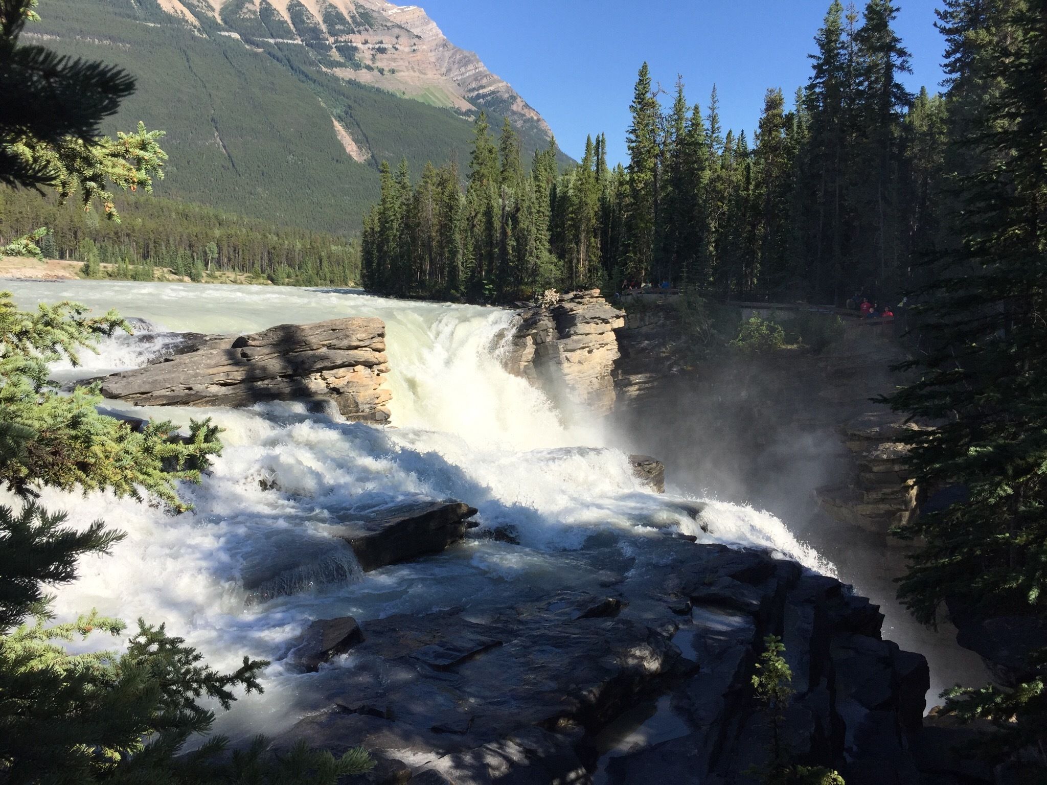 Athabasca Falls - Alberta, Canada | AllTrails