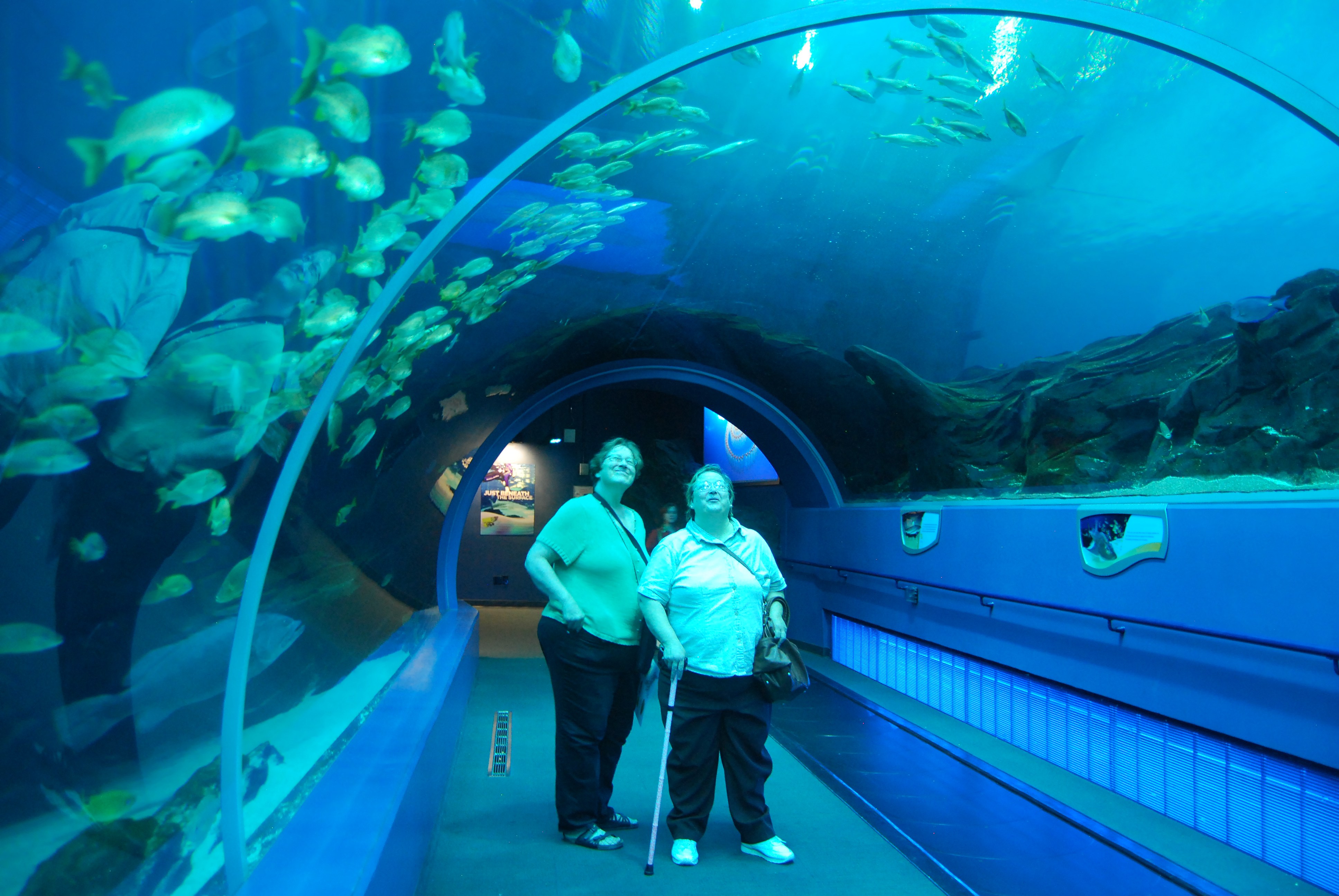 Atlanta aquarium photo