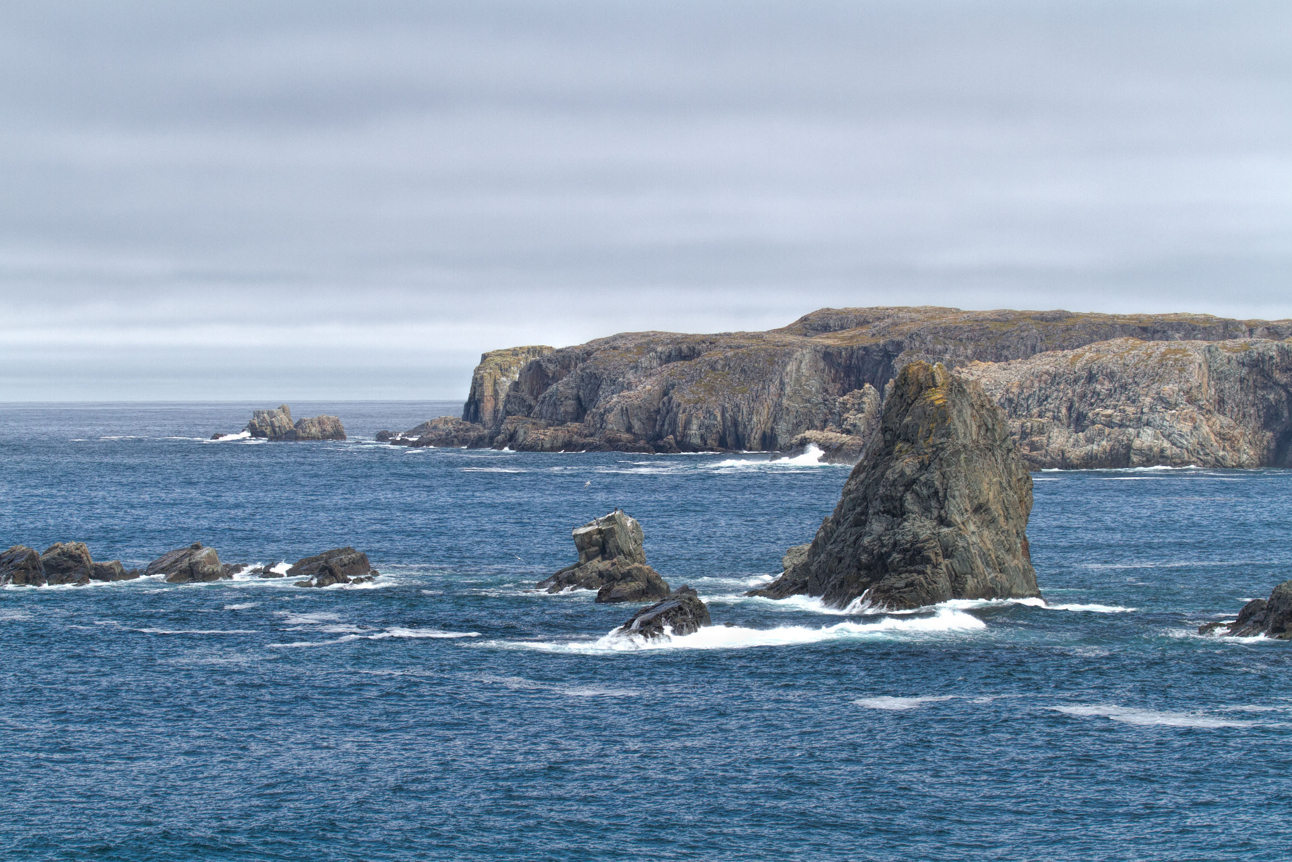 Atlantic Canada Coastline, Atlanticocean, Sea, Remote, Rock, HQ Photo