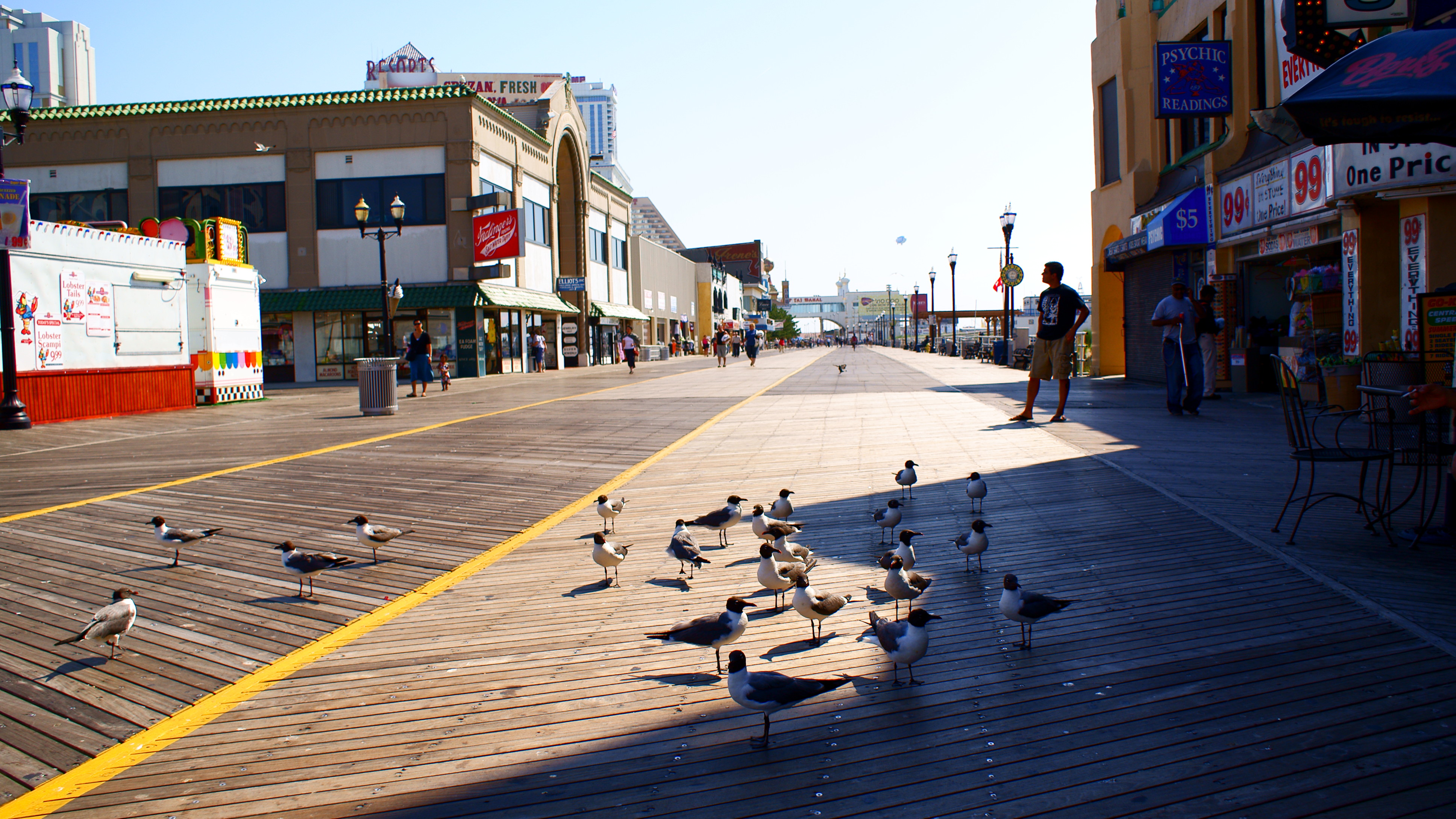 Atlantic City NJ, Atlantic, Beach, Birds, Boardwalk, HQ Photo