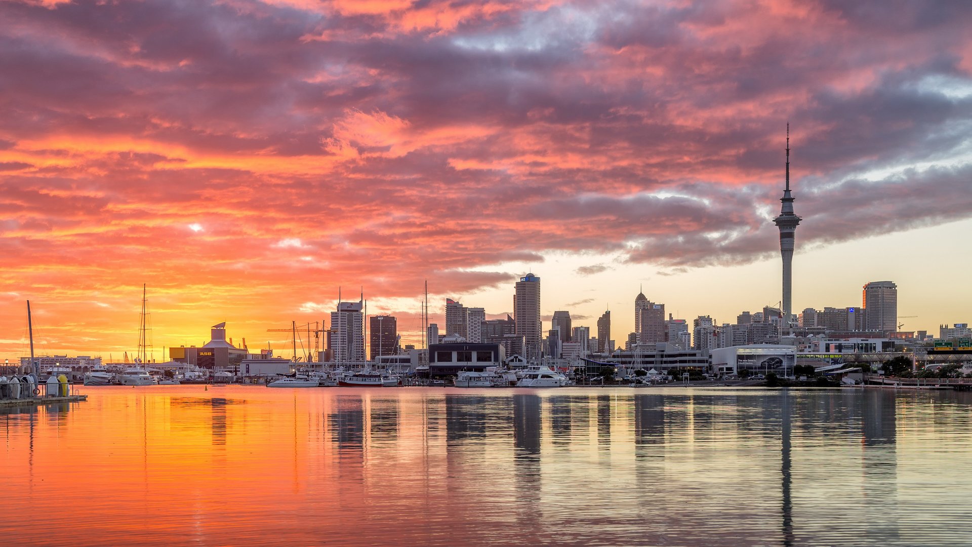 Auckland City Tour - Discover Auckland City with Auckland & Beyond Tours