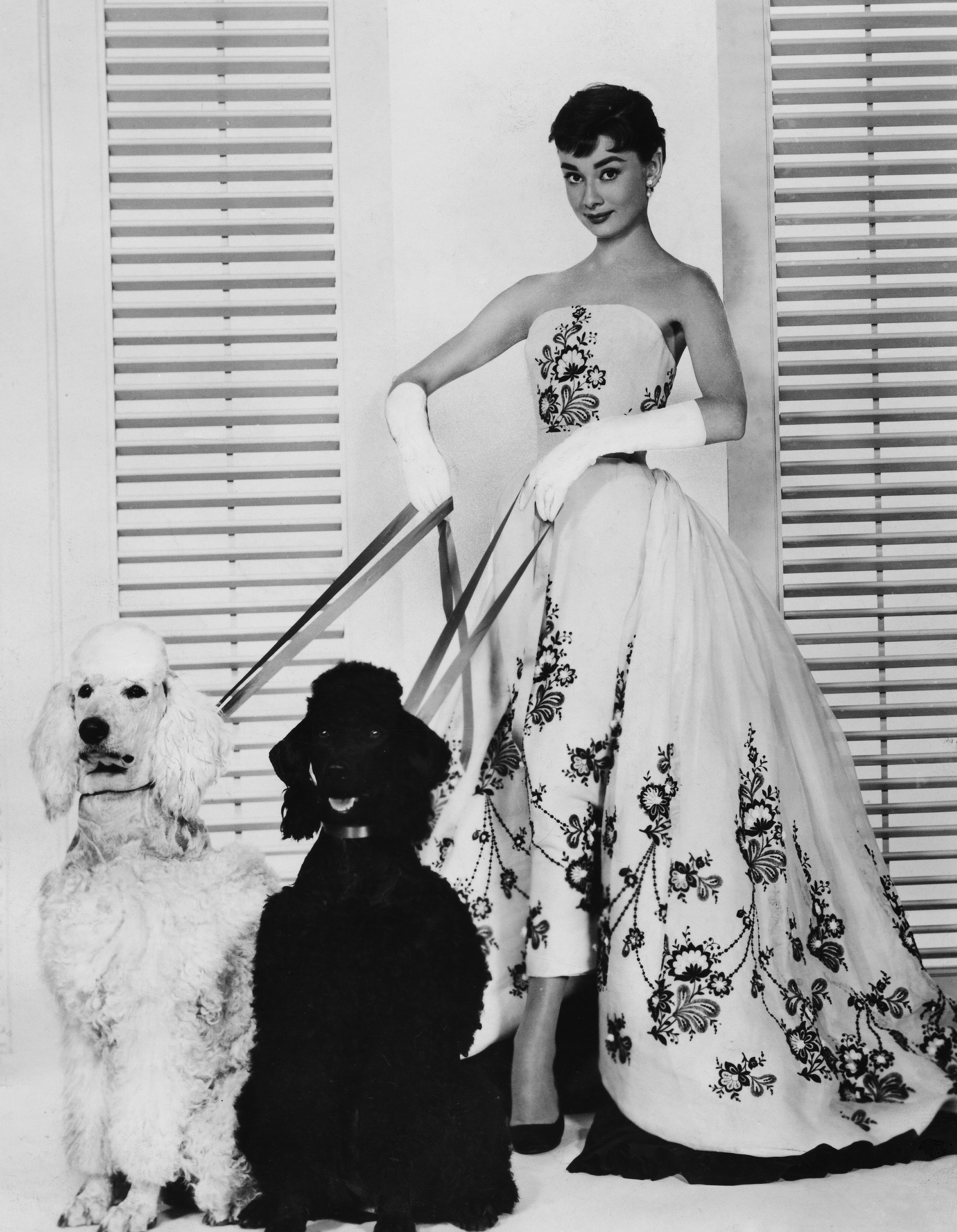 40 Years of Fashion & Friendship: Audrey Hepburn & Hubert de Givenchy
