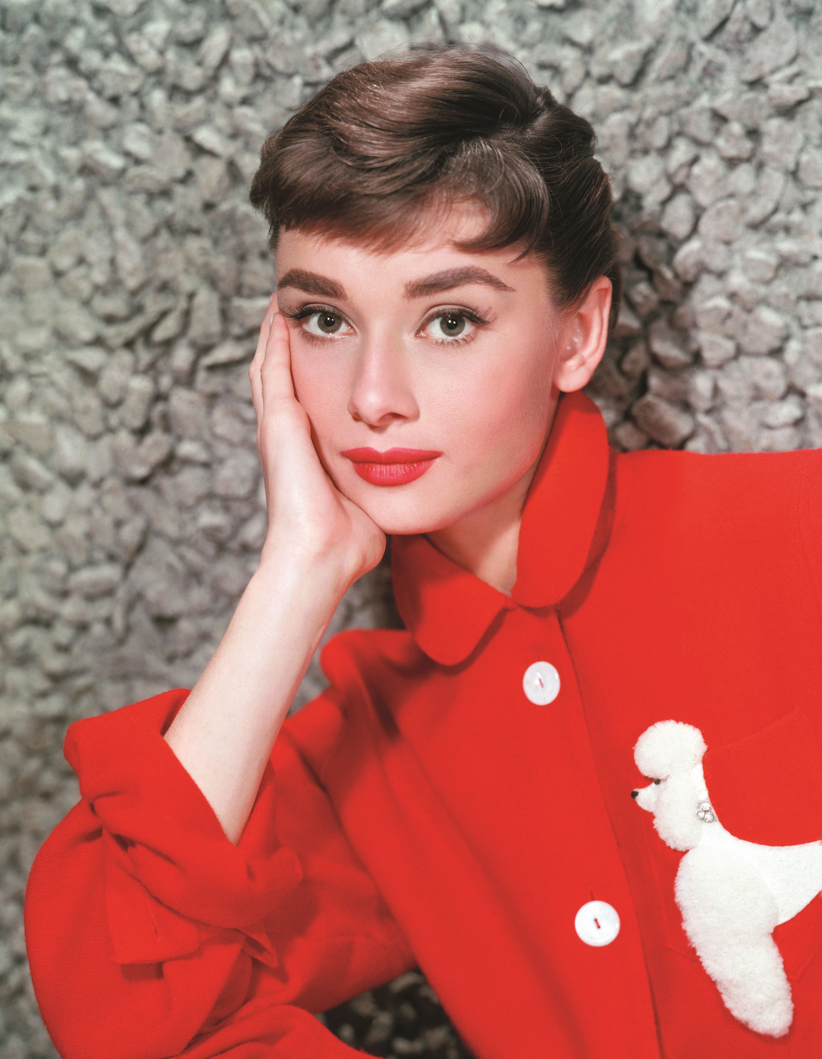 New Audrey Hepburn Book 2016 - Audrey: The 50s Book by David Wills