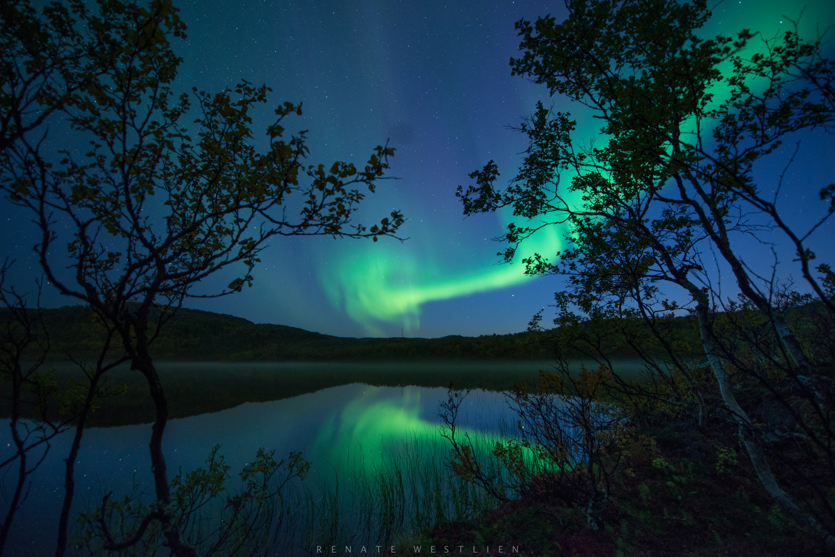 Aurora Season: When, Where and How? | Norway Travel Guide