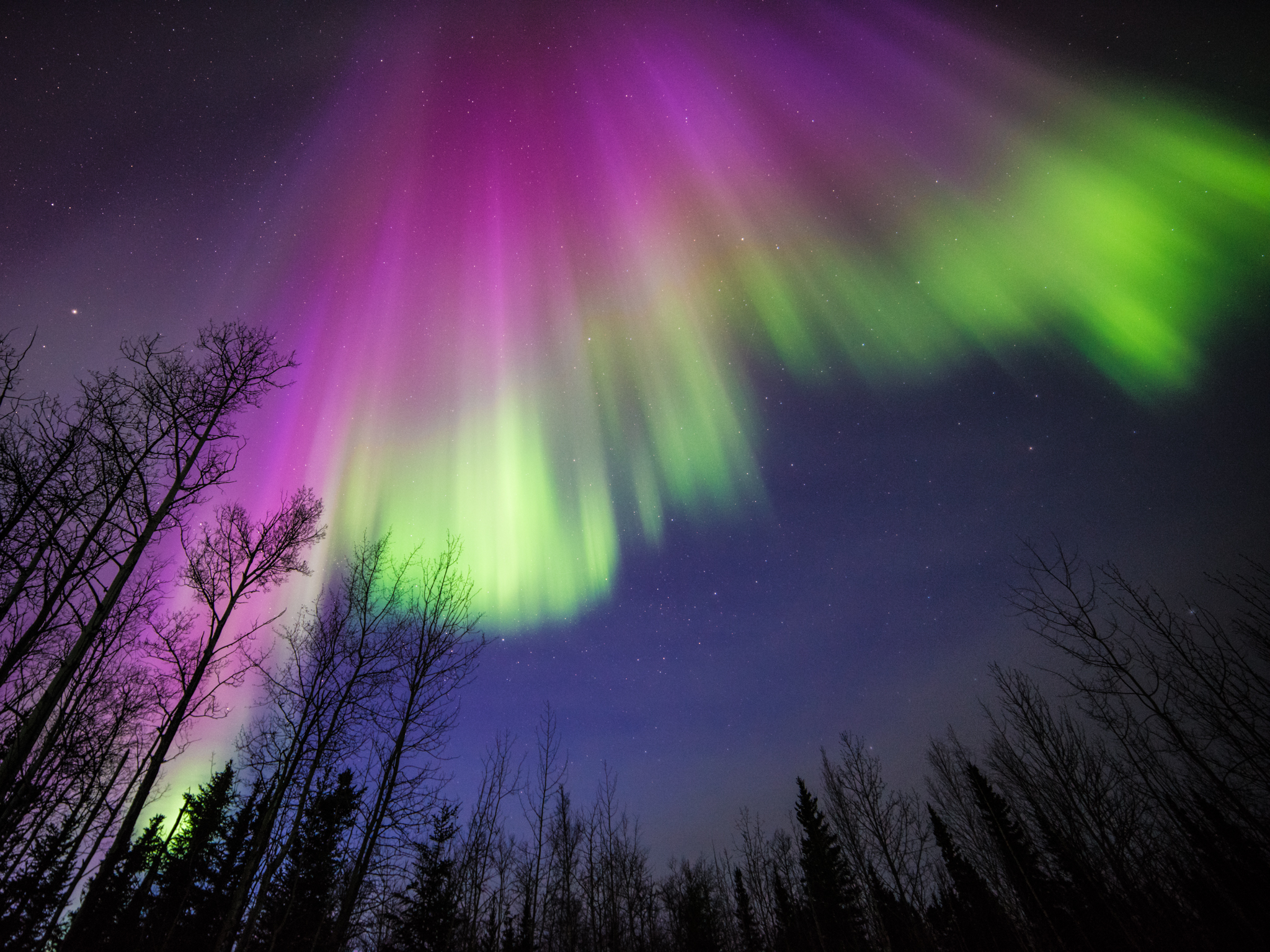 Purple and Green Aurora in Alaska | NASA