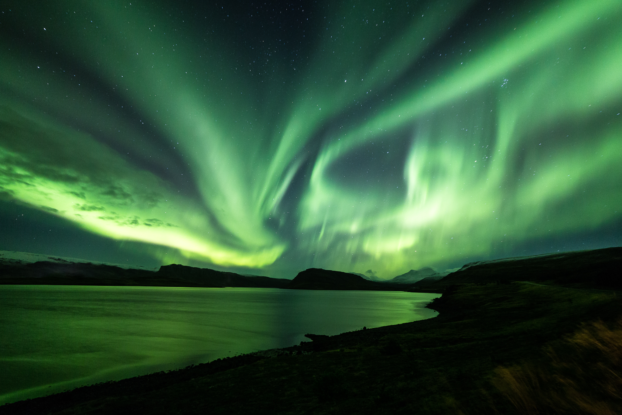 Happy Northern Lights Tour from Reykjavík | Guide to Iceland