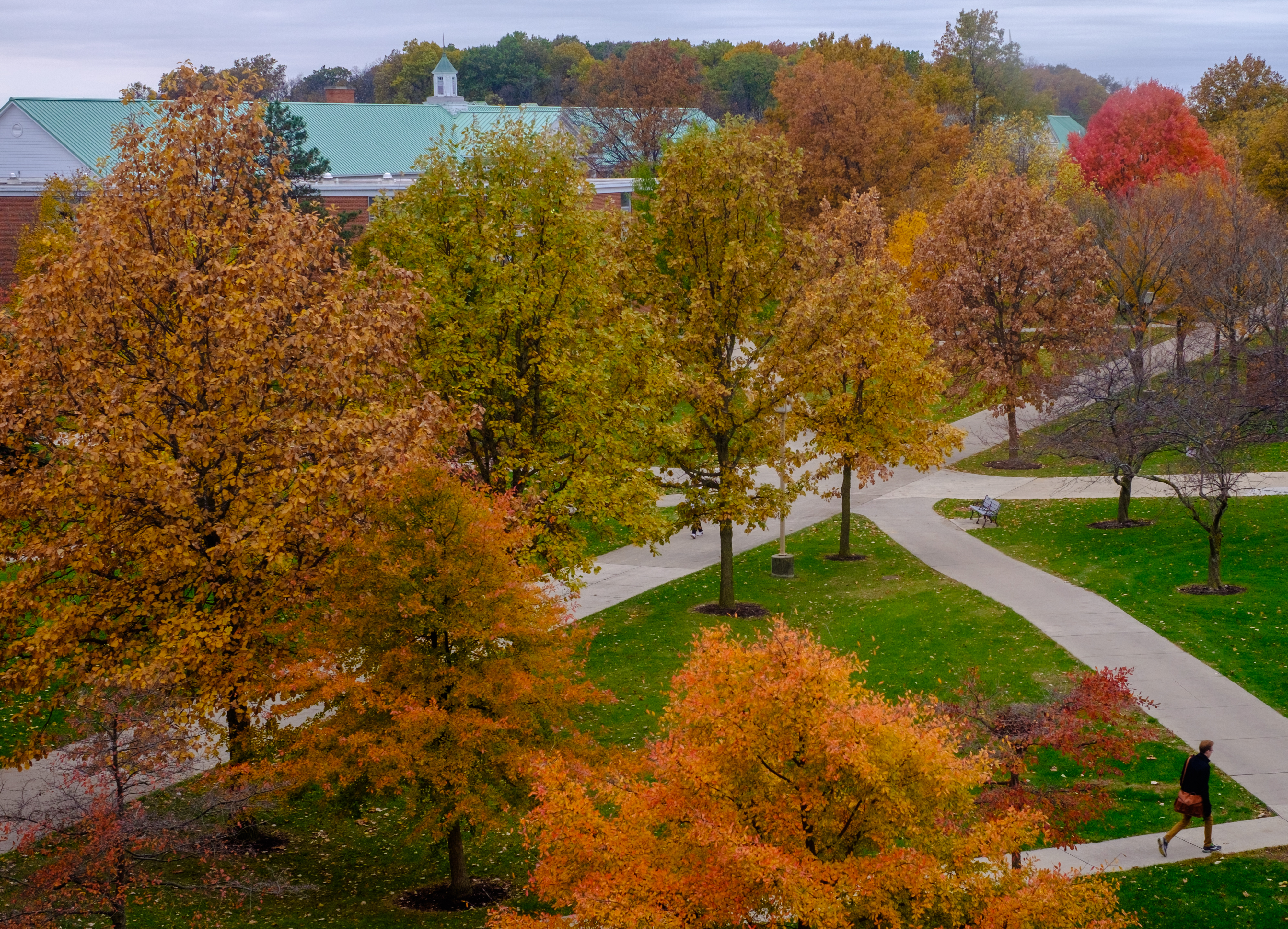 Autumn on campus | Ohio Northern University