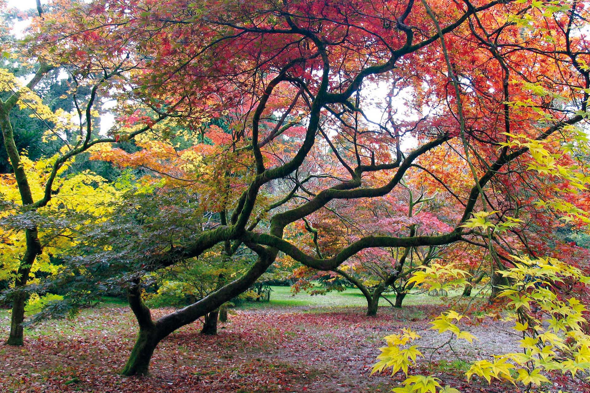 Autumn: The Best Places to Visit in the UK | Seasons Guide - What's ...
