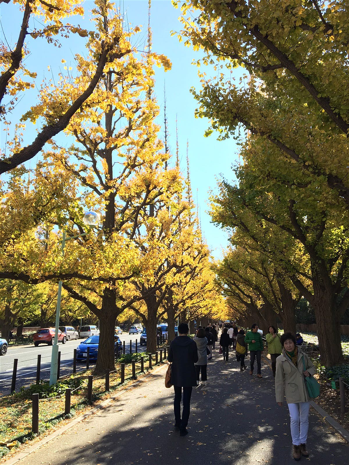Tokyo in autumn: the best things to see and do - Lonely Planet