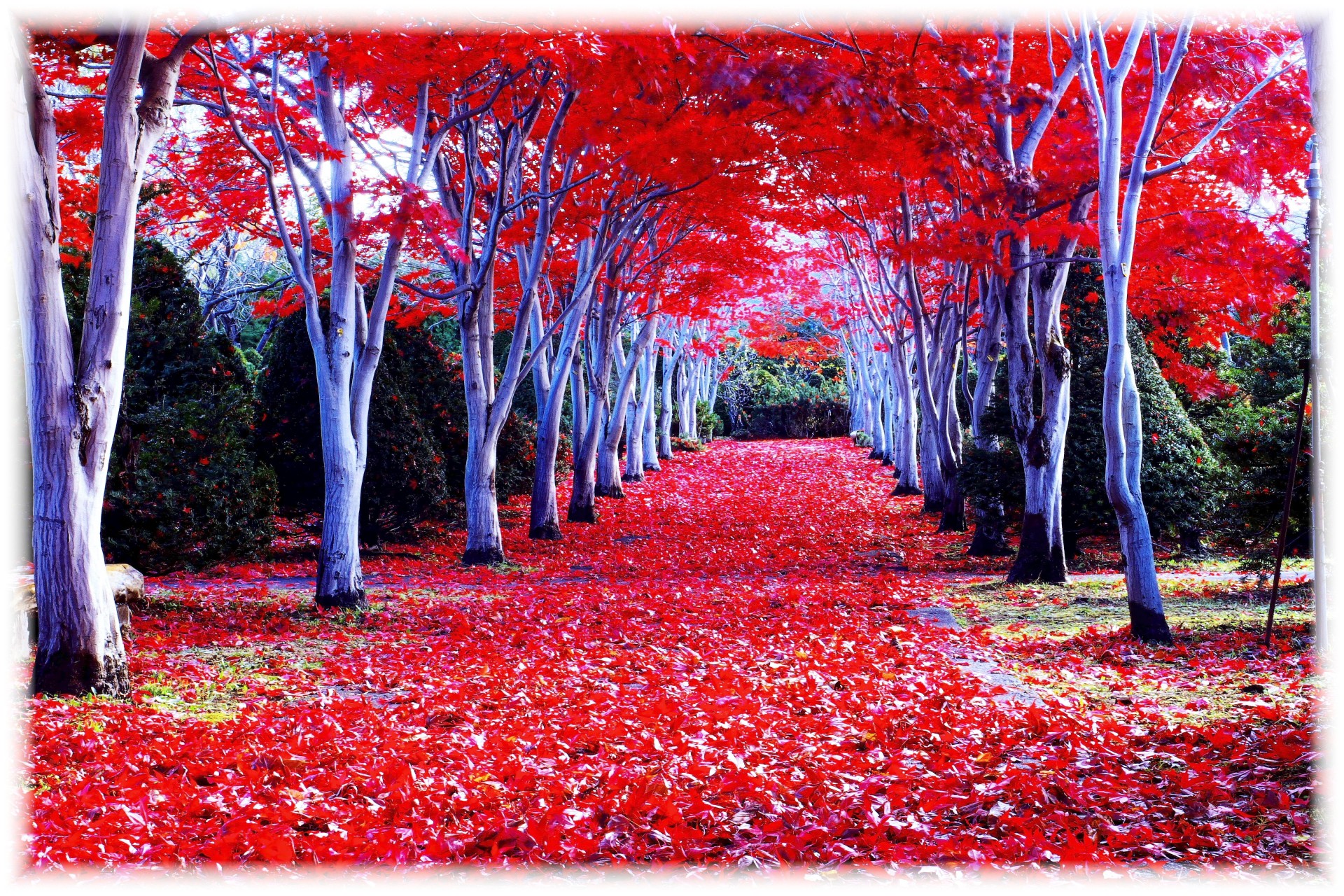 5 Best Autumn Leaves Spots in Hokkaido – Japan Travel Guide -JW Web ...