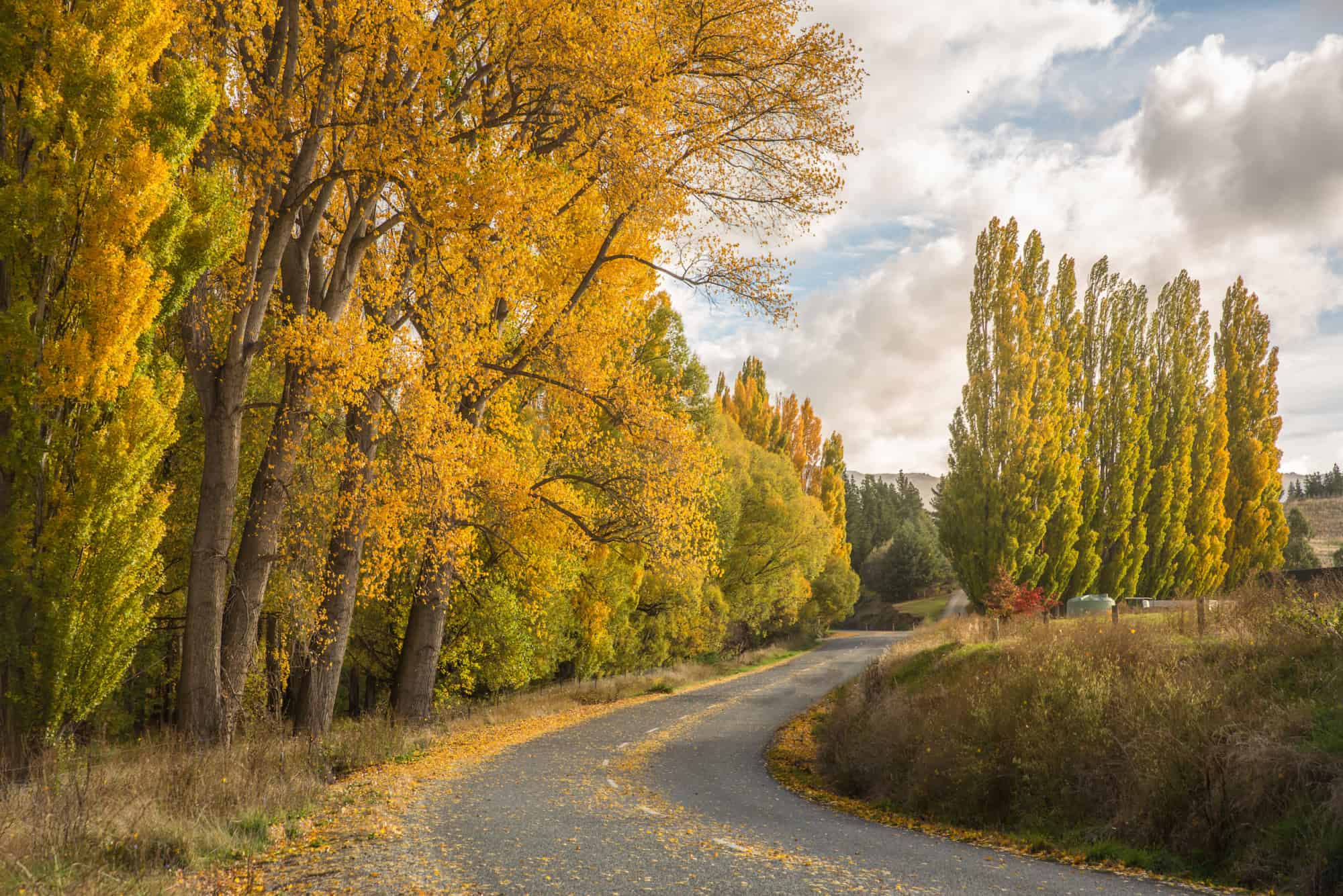Nothing beats Central Otago in autumn - Young Adventuress