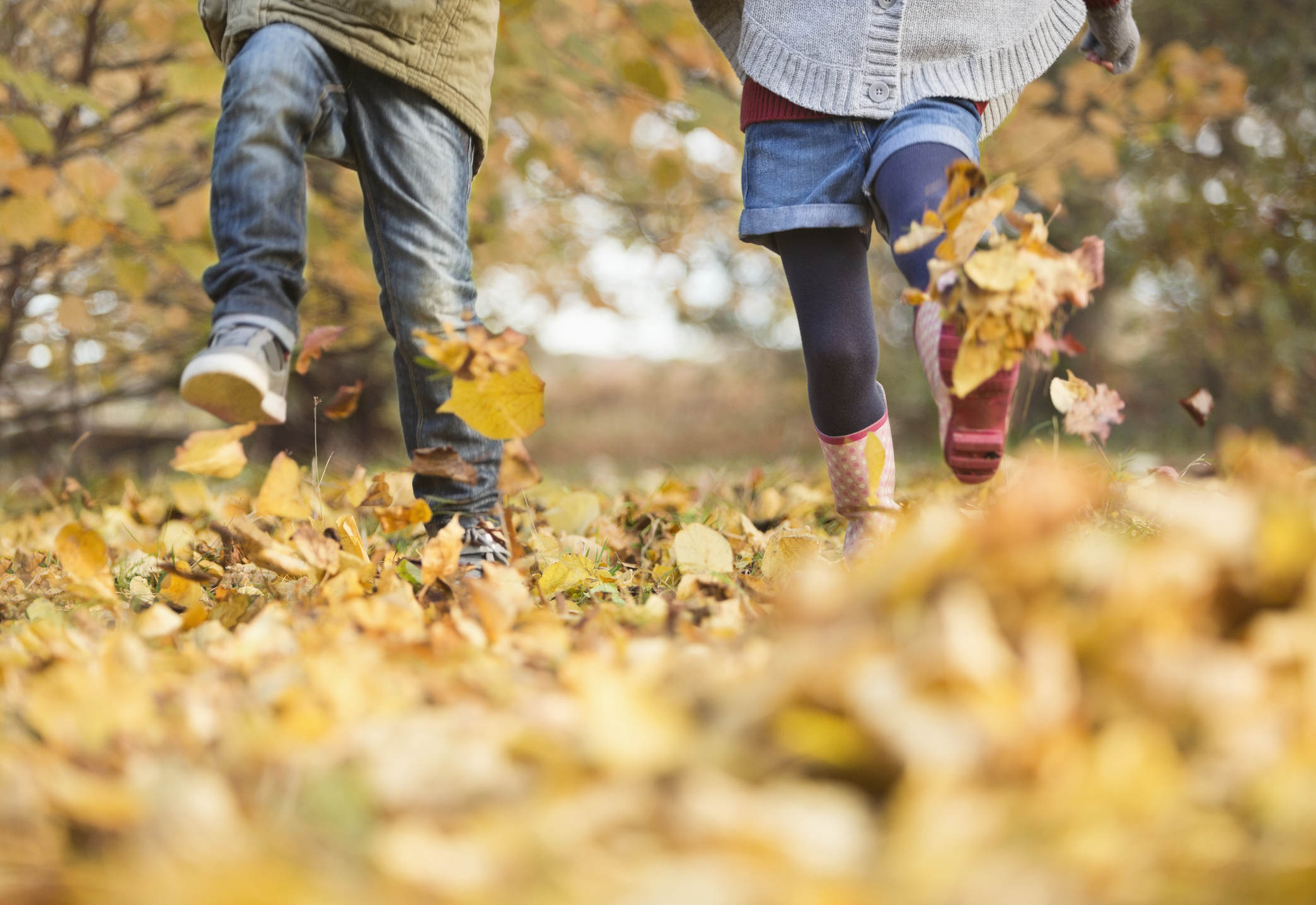 Autumn Facts for Kids