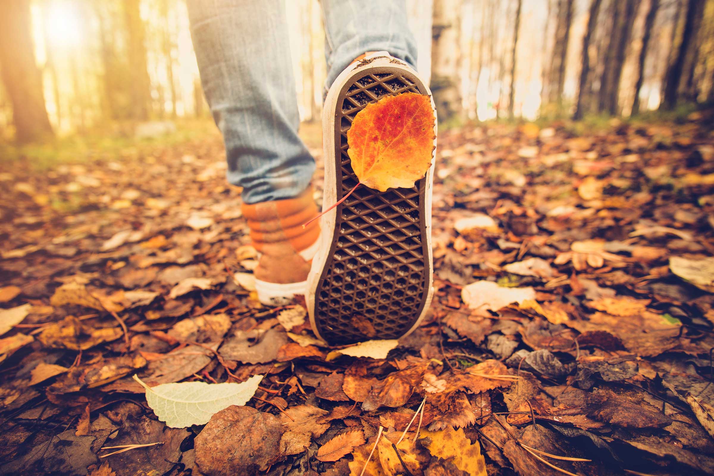 21 Mind-Blowing Facts About Autumn | Reader's Digest