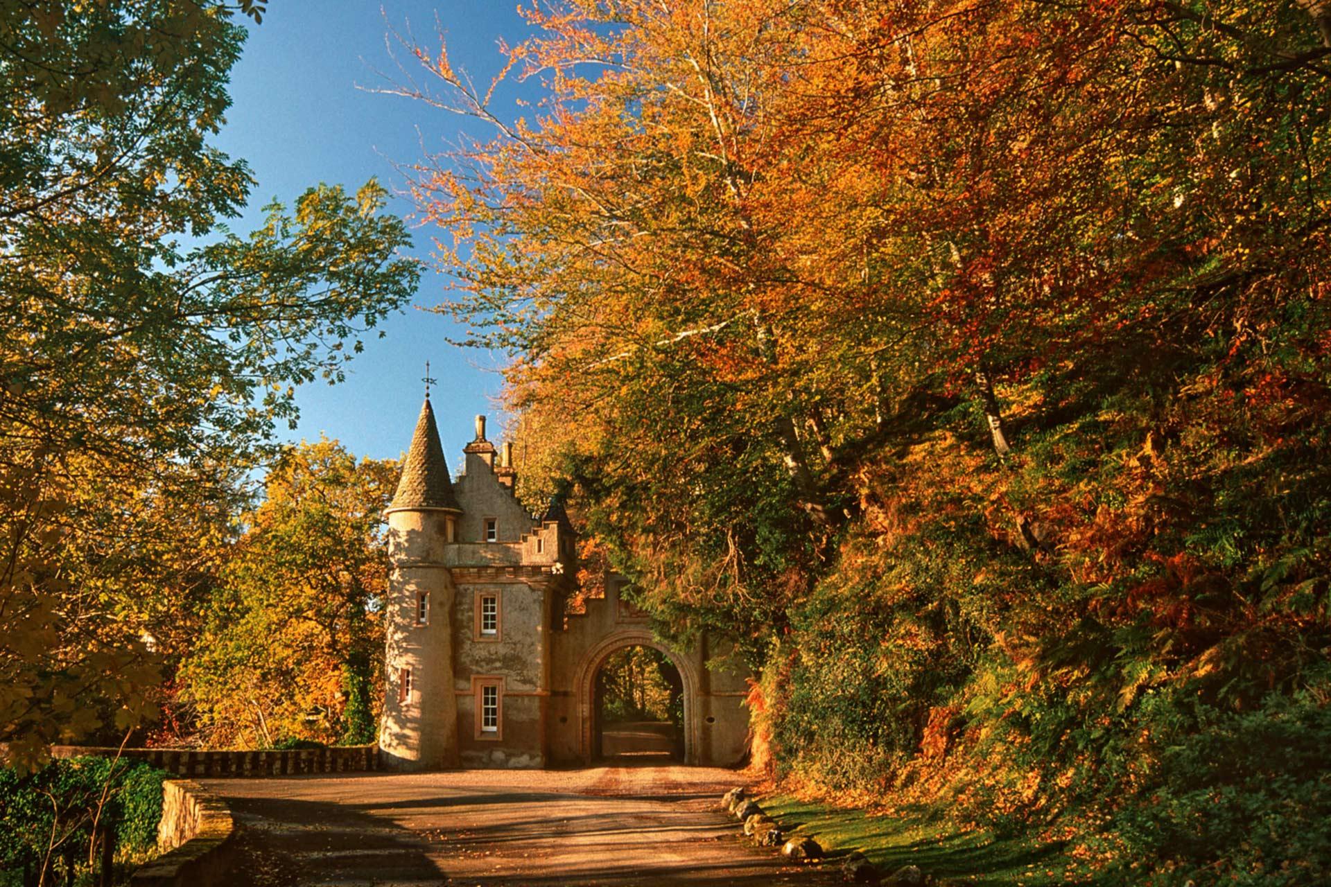 Leaf peeper's guide - autumn woodland walks | VisitScotland