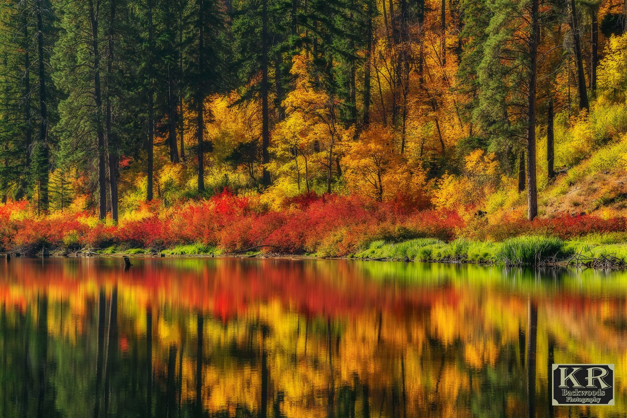 Photos: Northwest shows off its incredible autumn splendor | KOMO