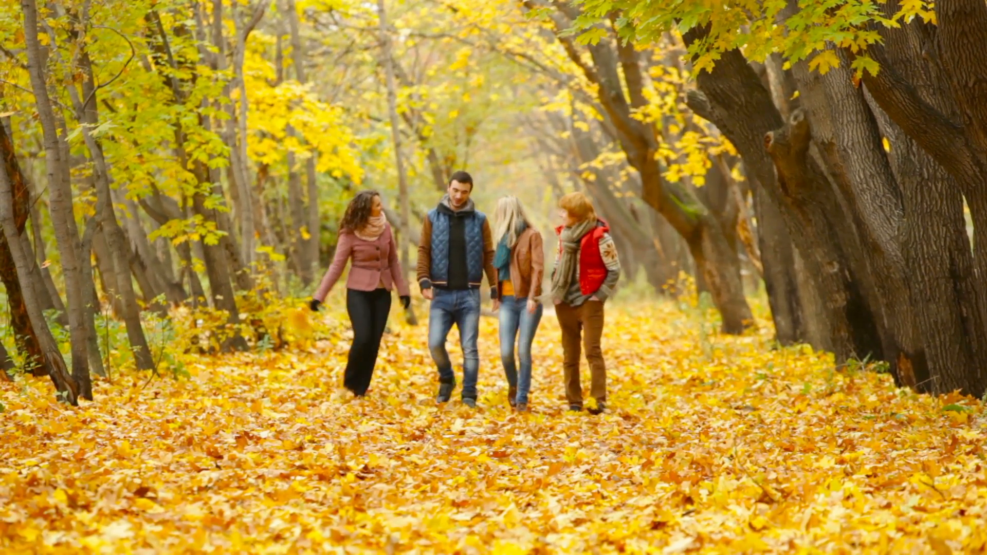 Four friends approaching camera walking in the woods in autumn and ...