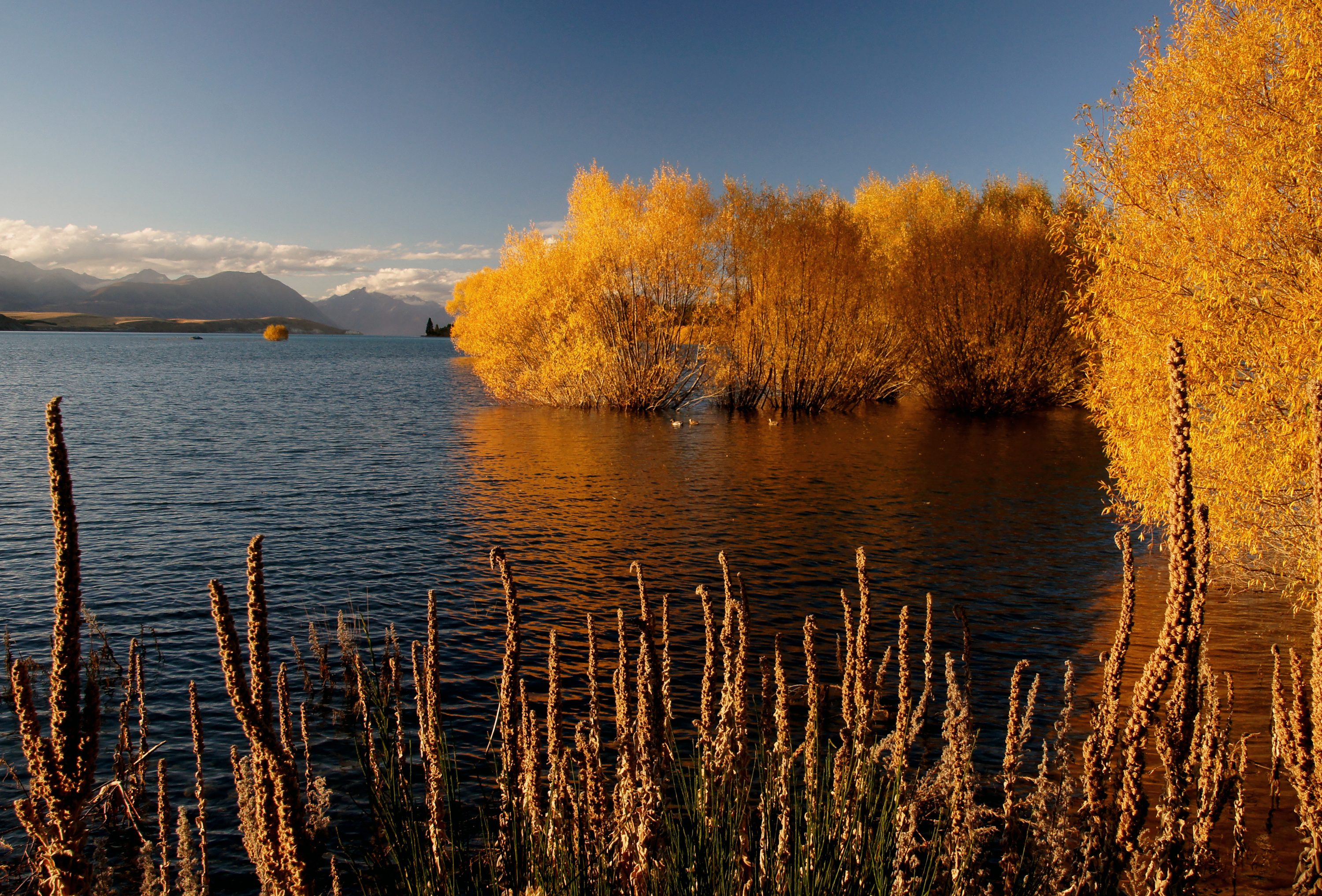 Autumn at lake tekapo nz (14) photo