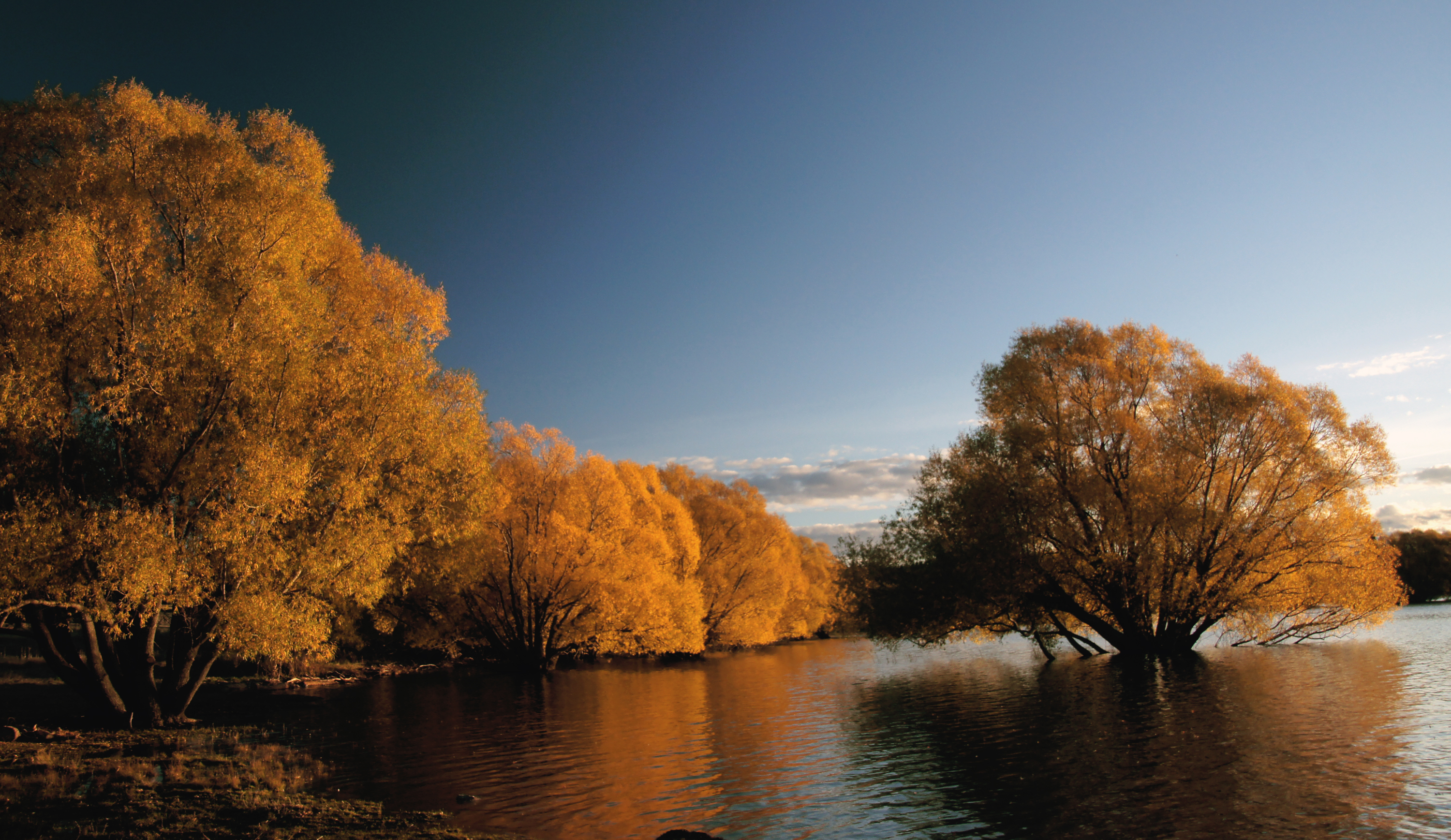 Autumn at Lake Tekapo NZ (24), Foliage, Fourseasons, Free photos, Geo-Tagged, HQ Photo