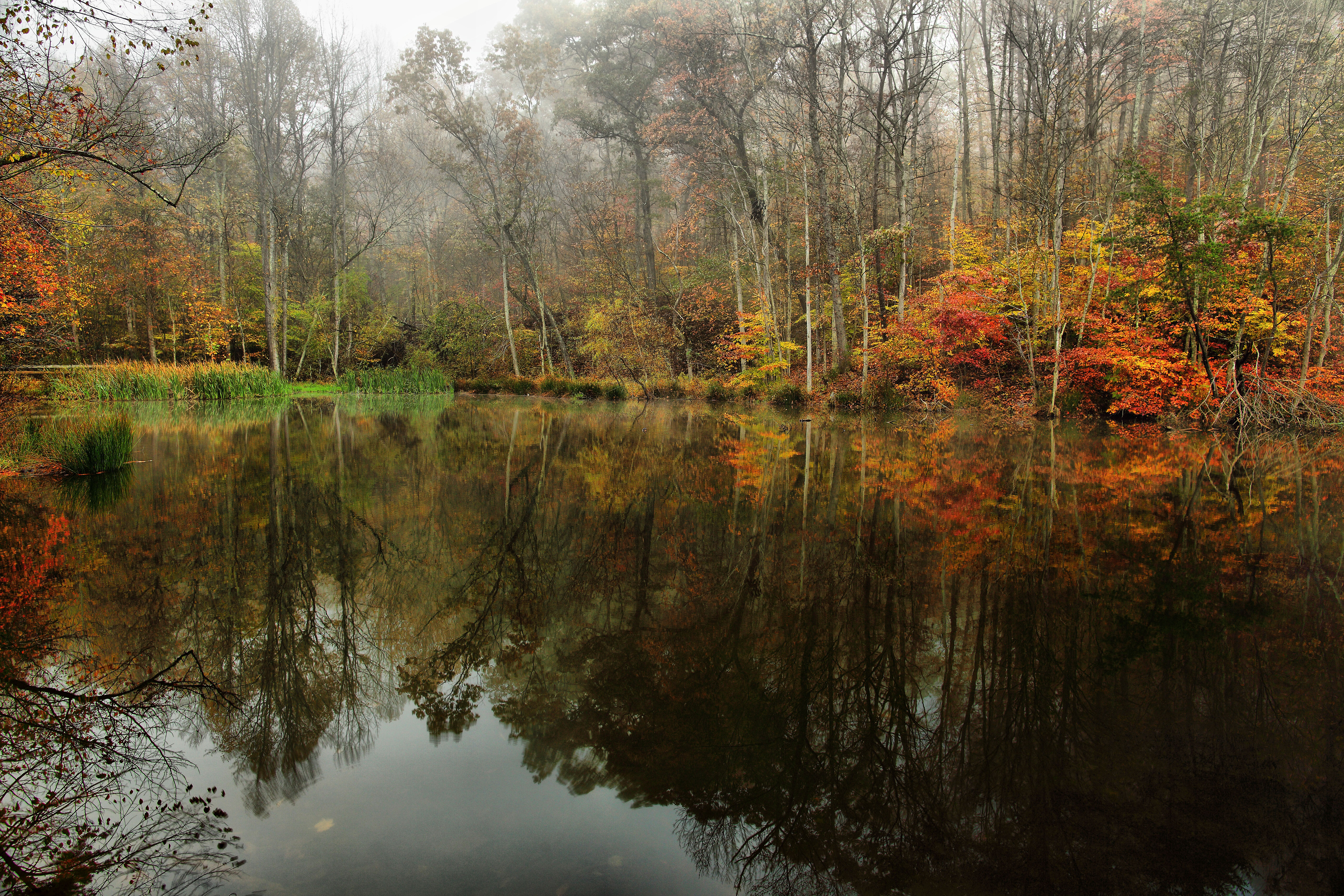 File:Foggy-autumn-lake - Virginia - ForestWander.jpg - Wikimedia Commons