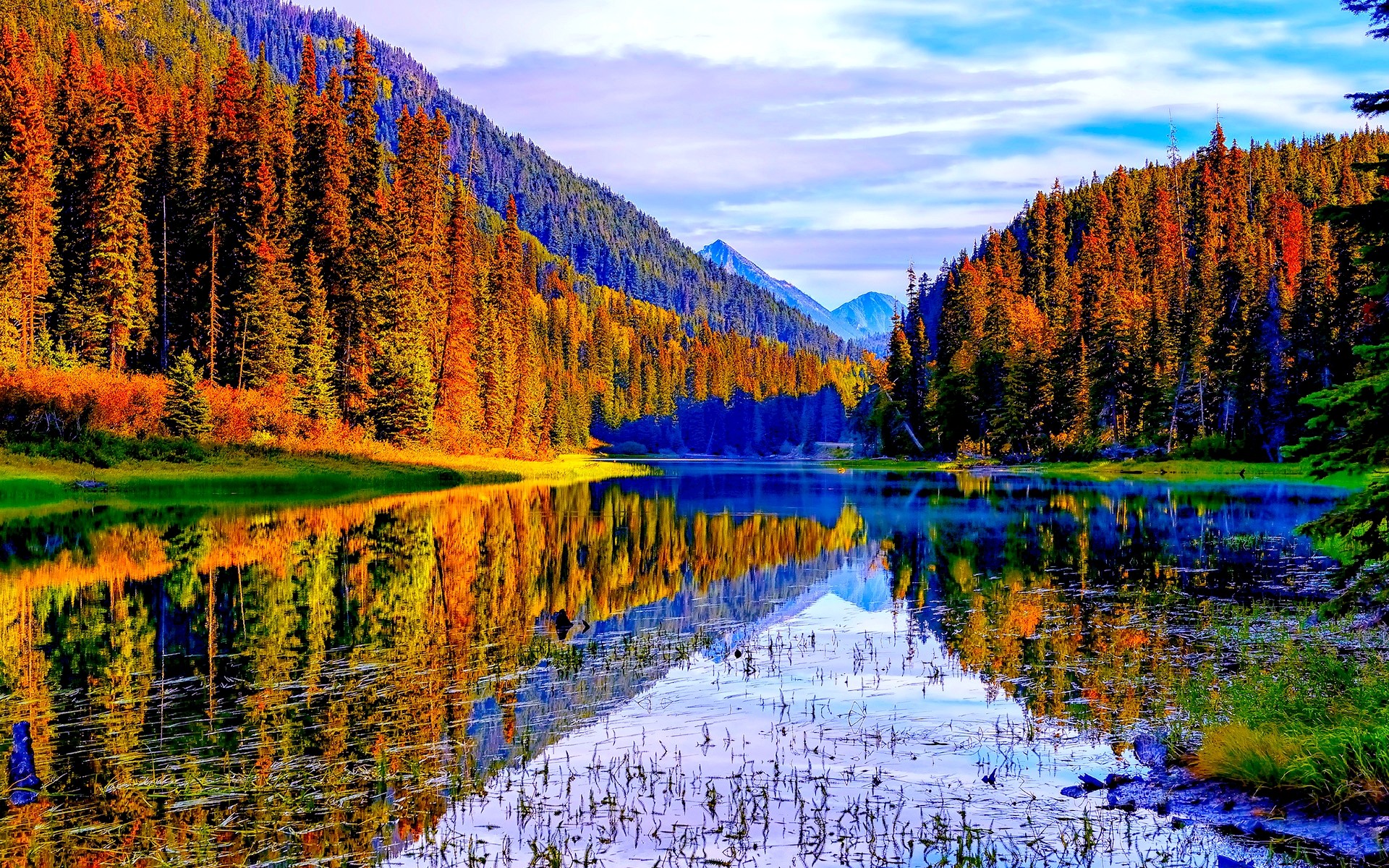Free photo: Autumn Lake Scenic Pink Pond Free Download Jooinn