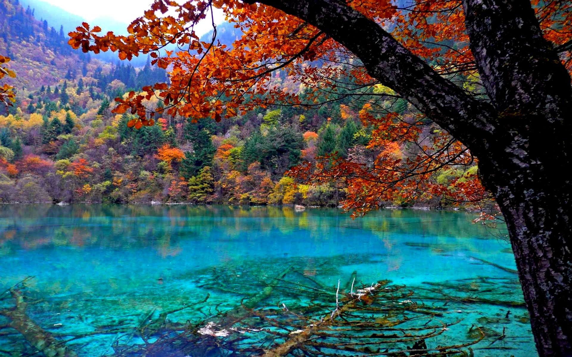 Free photo: Autumn Lake Scenic Pink Pond Free Download Jooinn