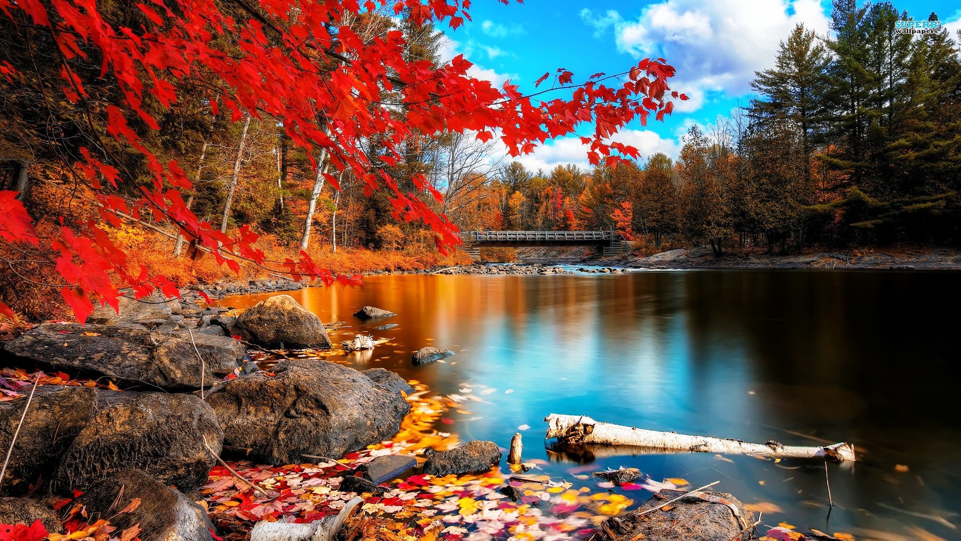 autumn lake