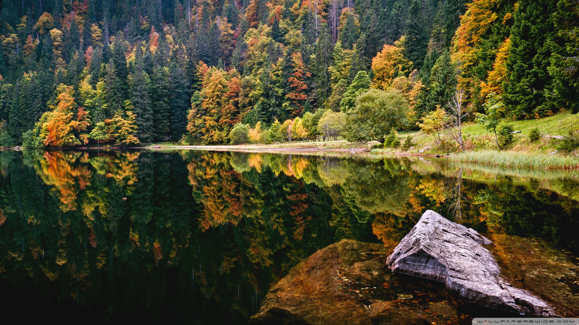 Amazing Autumn Lake View ❤ 4K HD Desktop Wallpaper for 4K Ultra HD ...