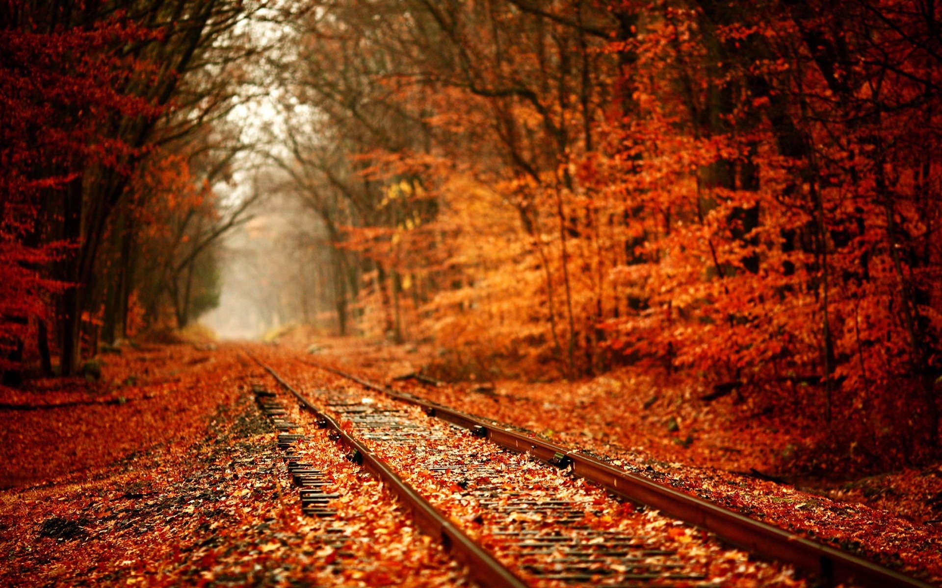 Autumn Landscape Wallpapers, 43 Autumn Landscape HDQ Pics | W.Web ...