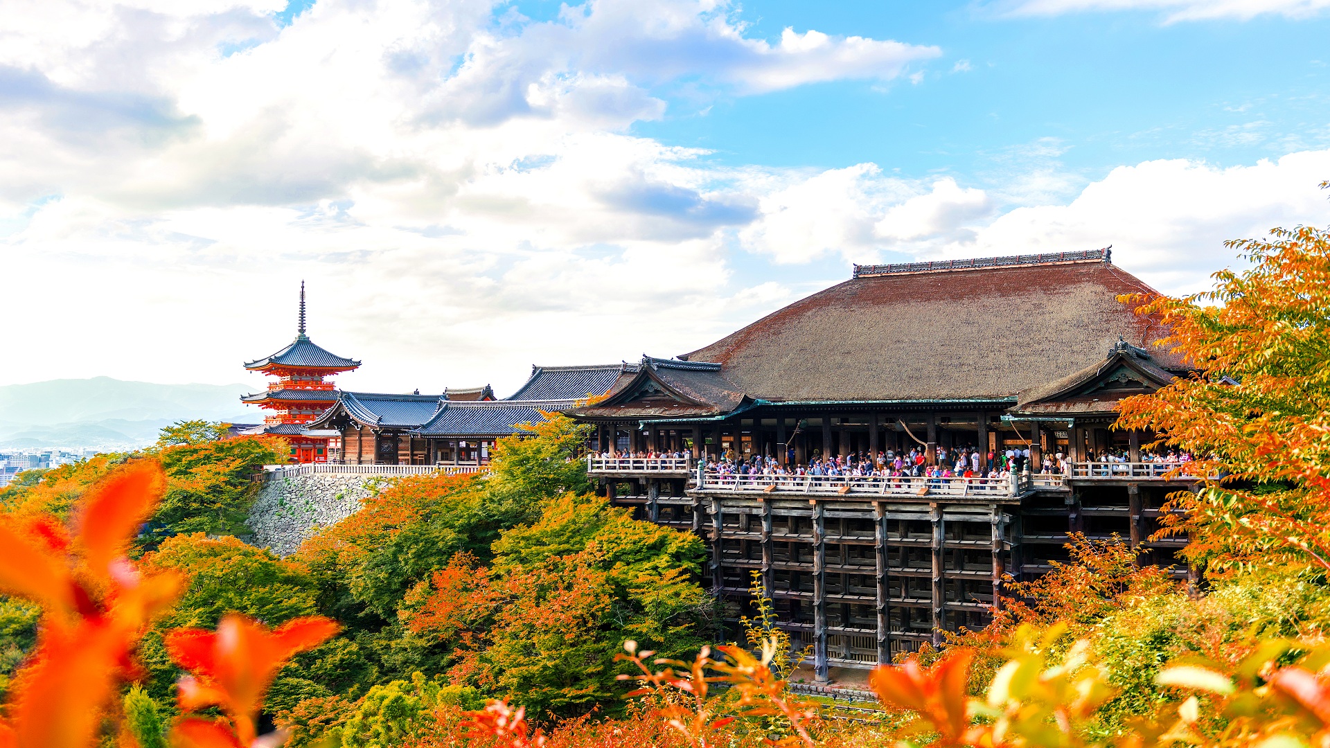 Autumn Leaves - Japan & Korea - AV Travel
