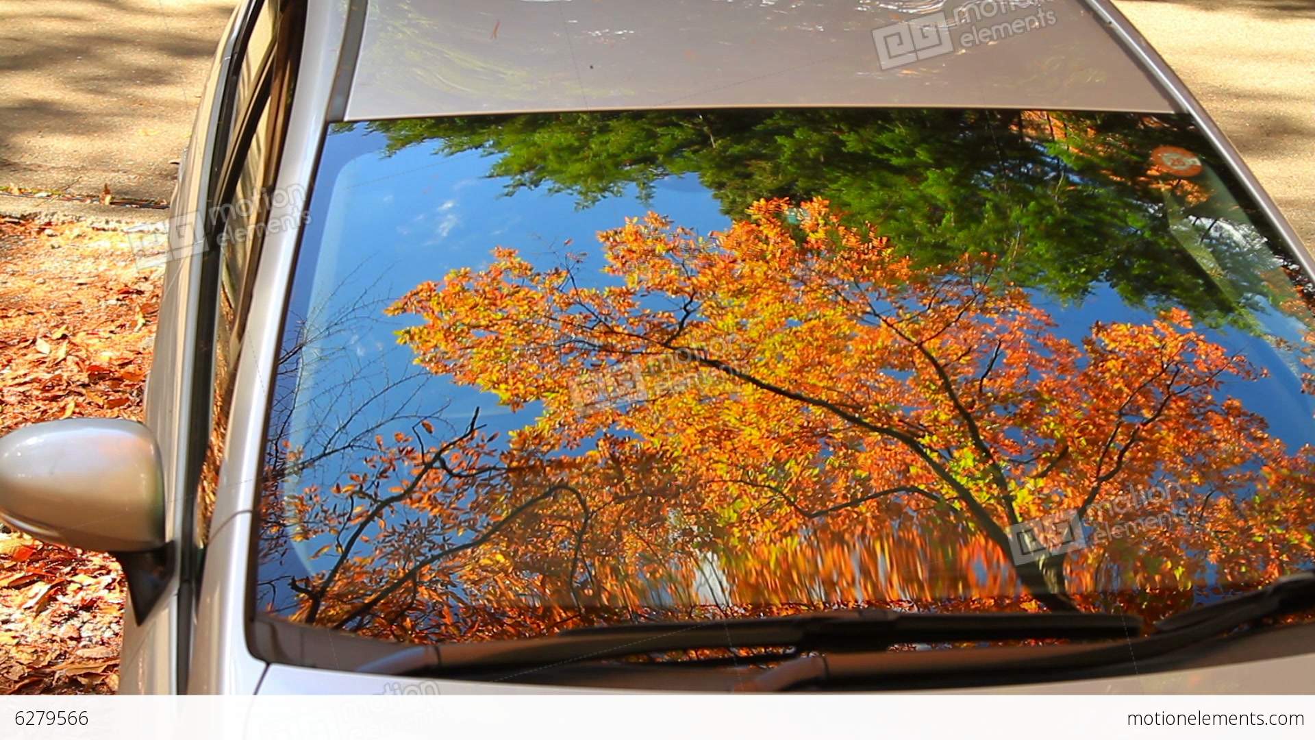 Autumn Leaves Reflected In The Window Of The Car Stock video footage ...