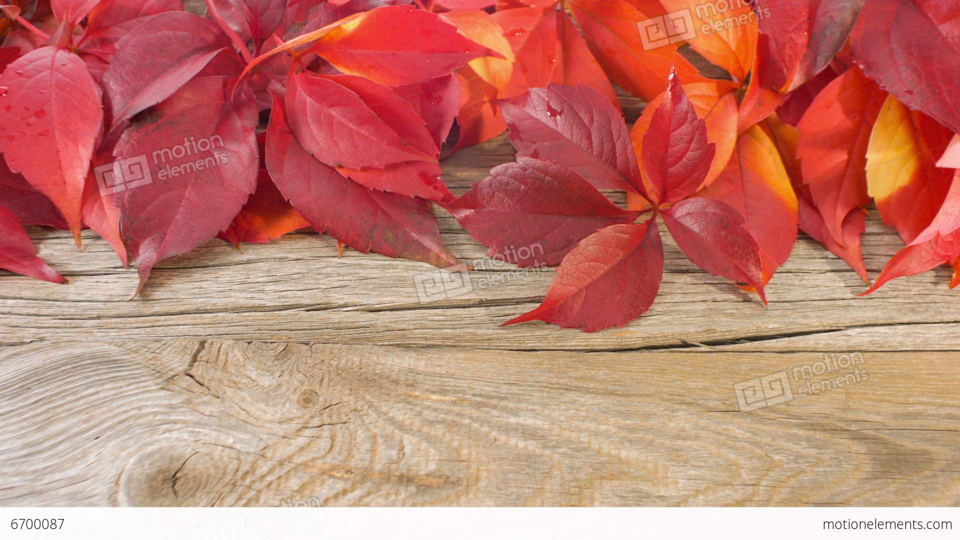 Autumn Leaves On Vintage Wood Background Stock video footage | 6700087