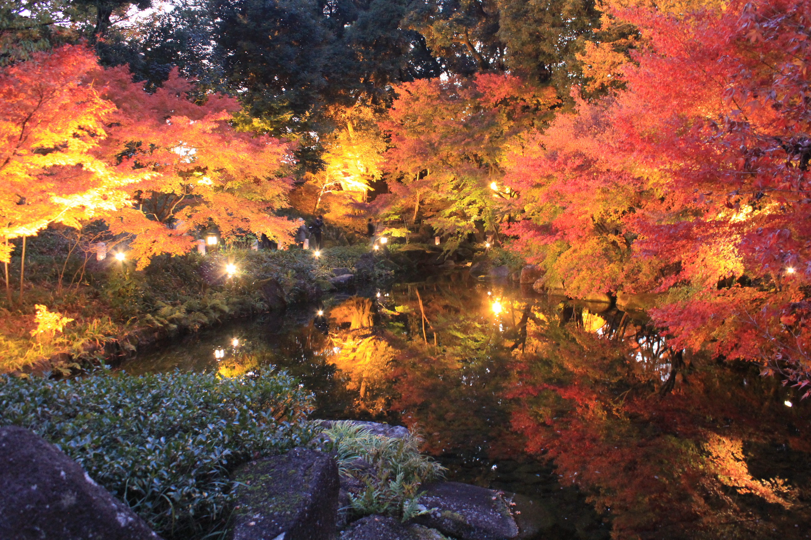 Enjoy Beautiful Autumn Leaves in Aichi Prefecture | Travel Reports ...