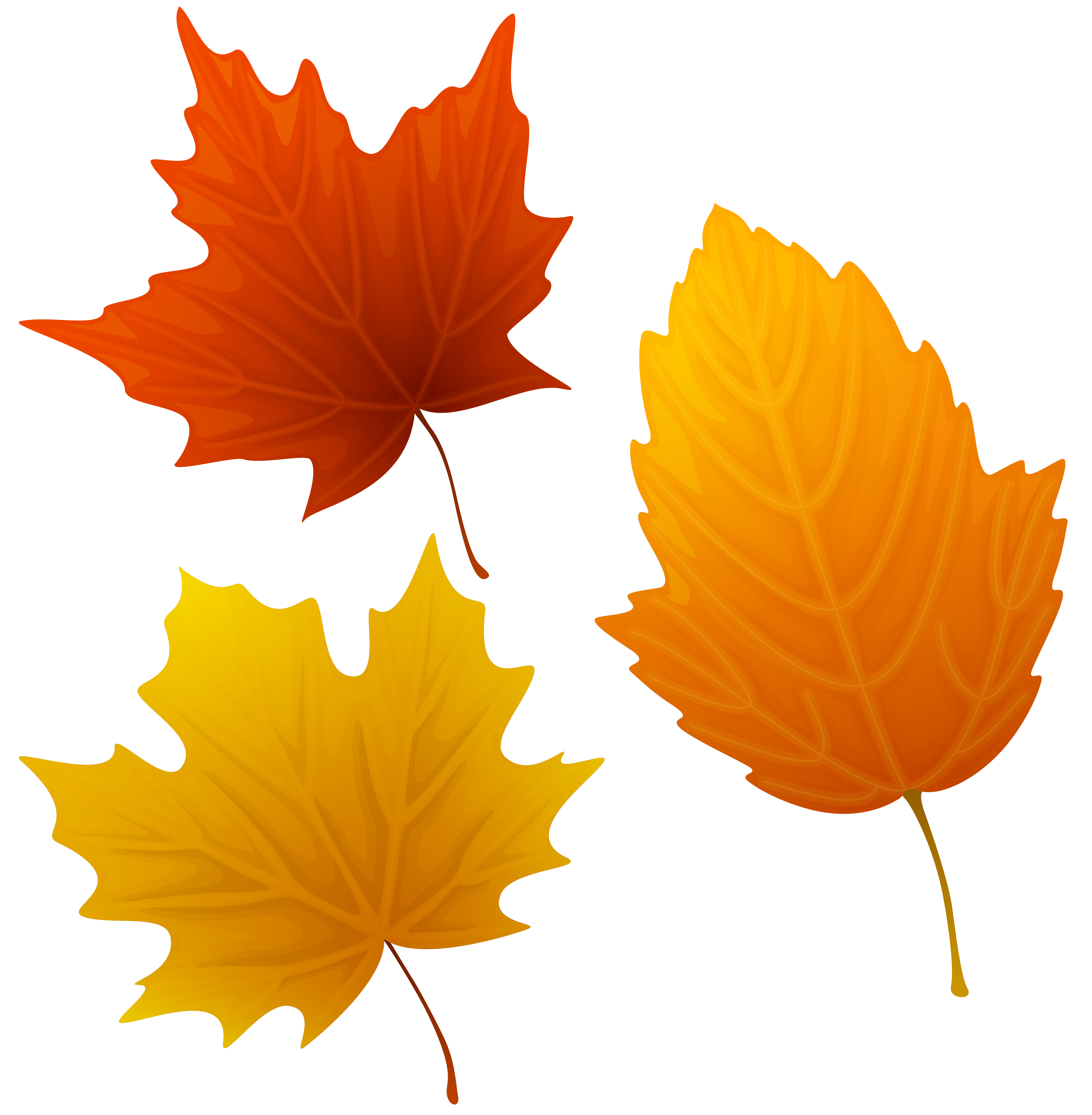 Set of Autumn Leaves Clipart PNG Image | Gallery Yopriceville ...