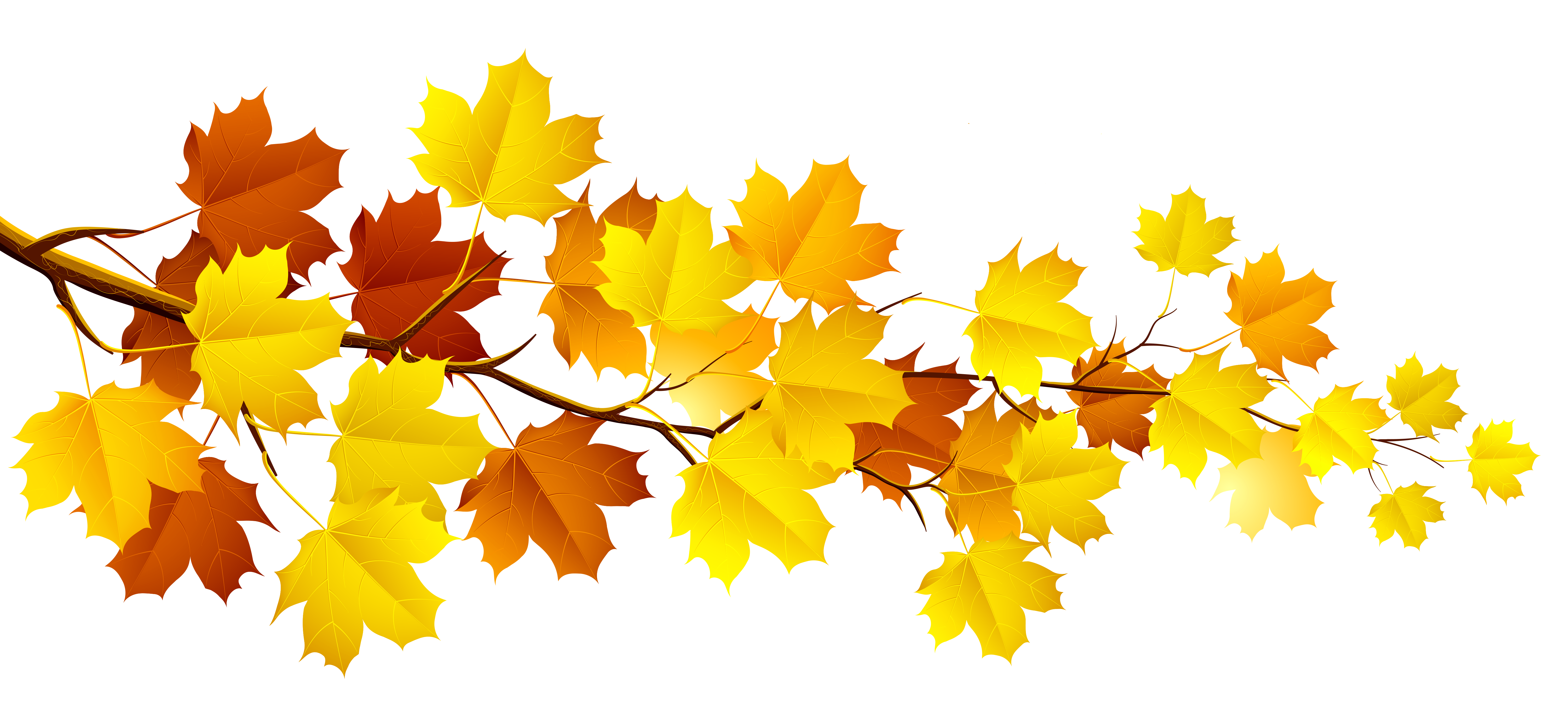 Autumn Leaves Clipart