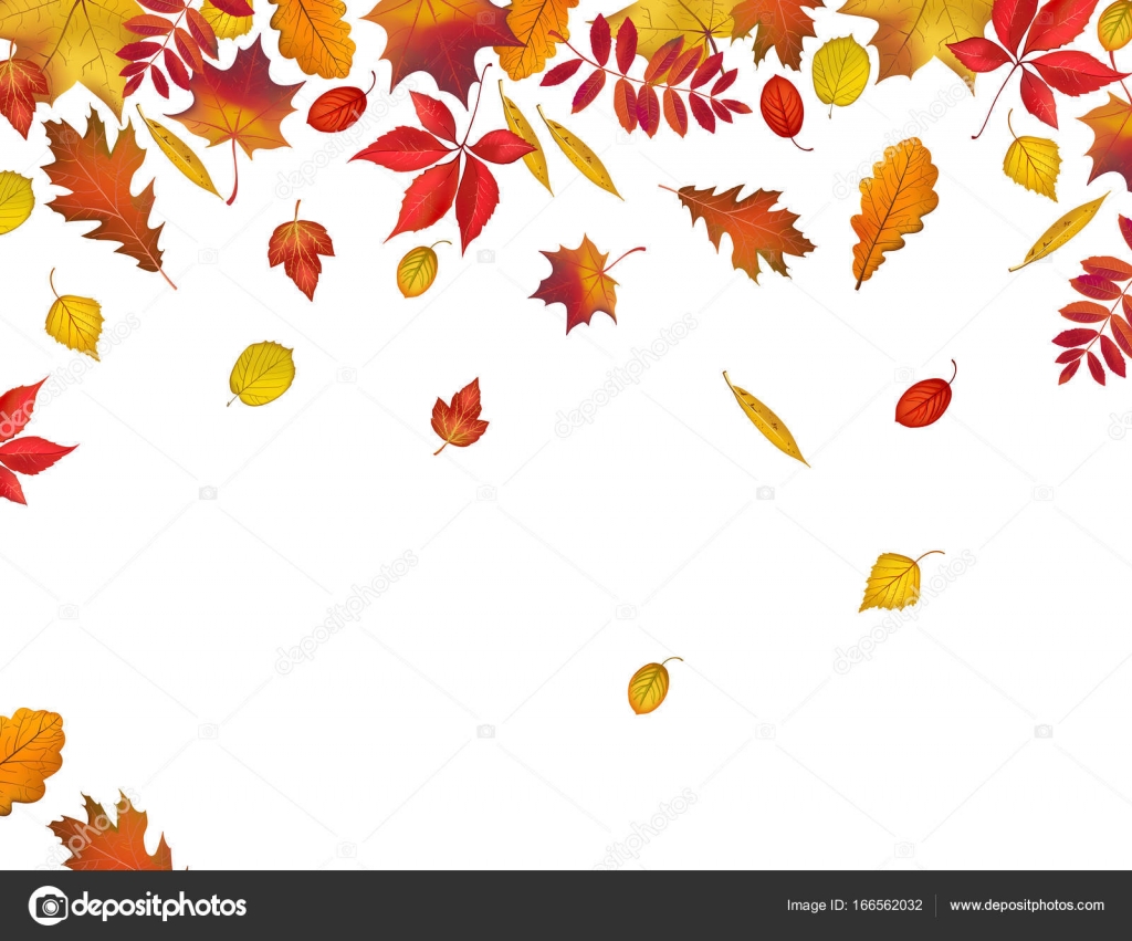 Autumn leaves border isolated on white background — Stock Vector ...