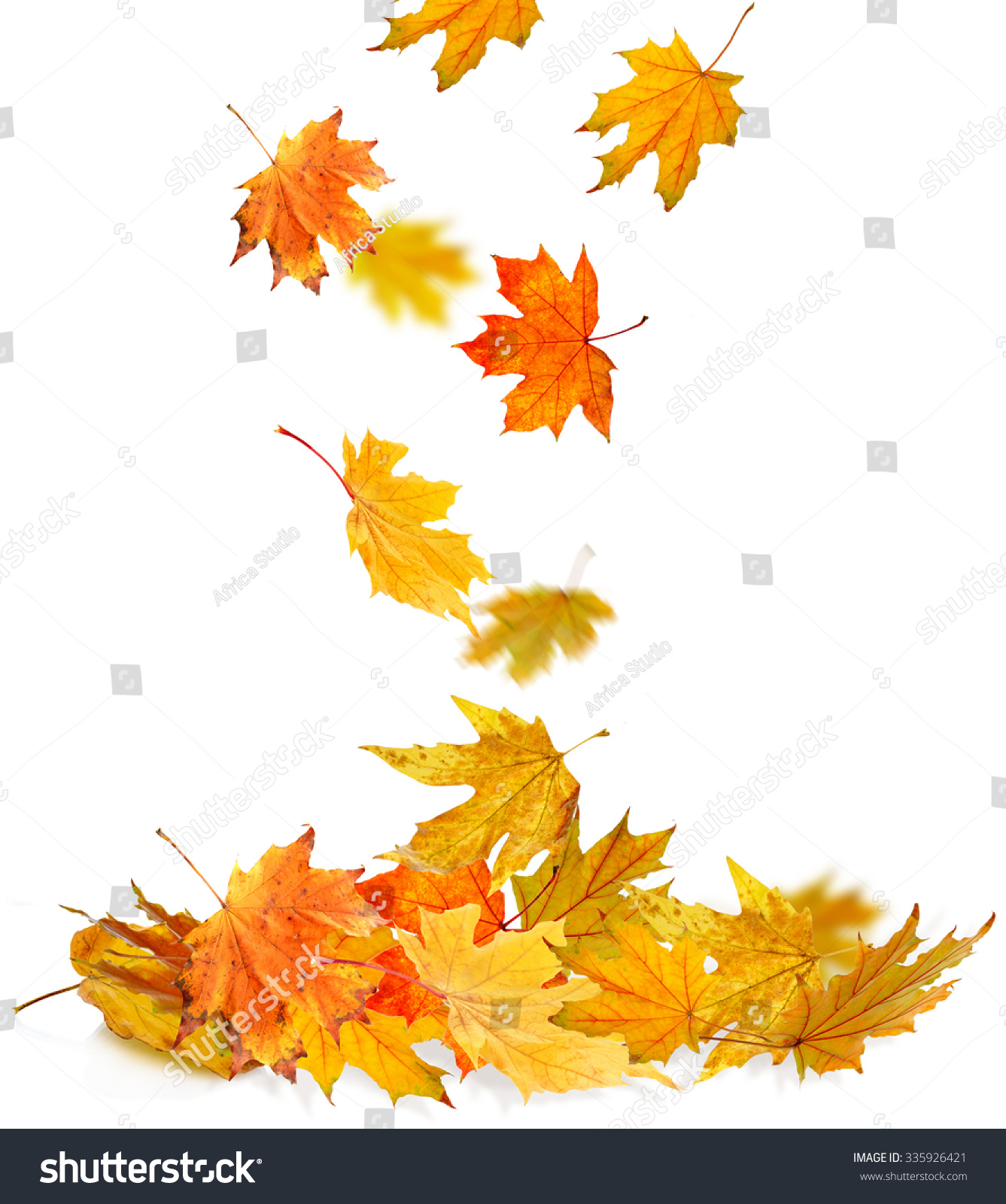 Pile Autumn Leaves Isolated On White Stock Photo (100% Legal ...