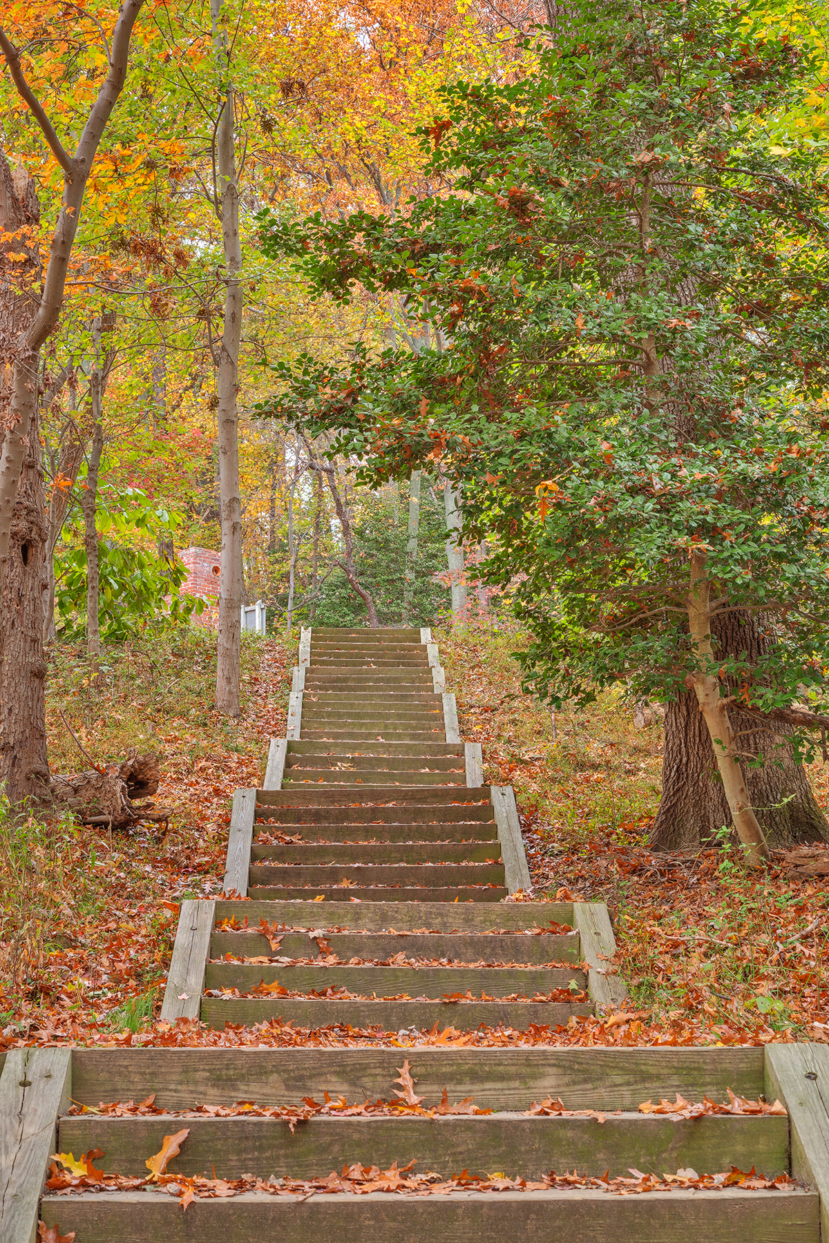 Autumn Leesylvania Stairway - HDR, Adventure, Season, States, State, HQ Photo