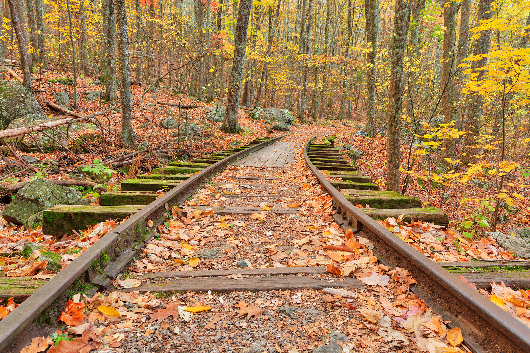 Autumn logging railroad - hdr photo