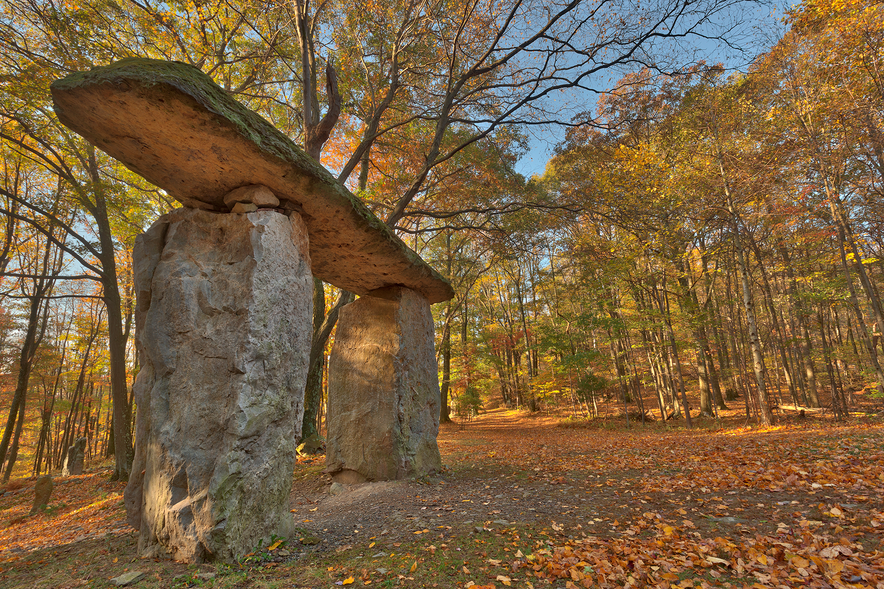 Autumn megalith forest - hdr photo